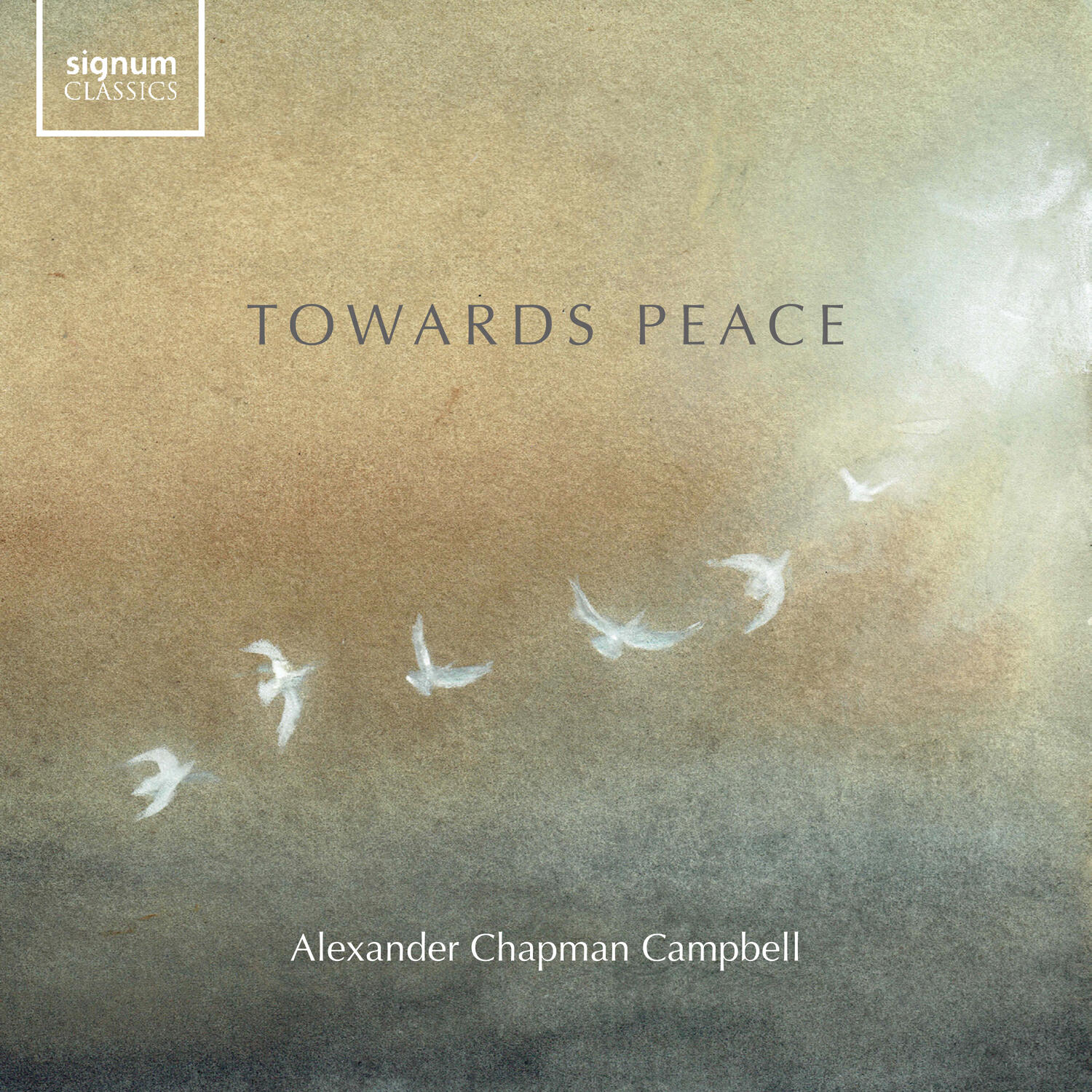 Релиз Towards Peace