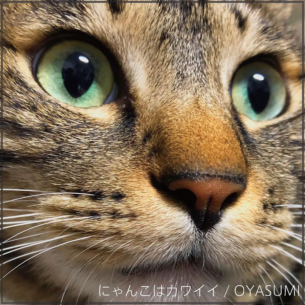 Релиз にゃんこはカワイイ