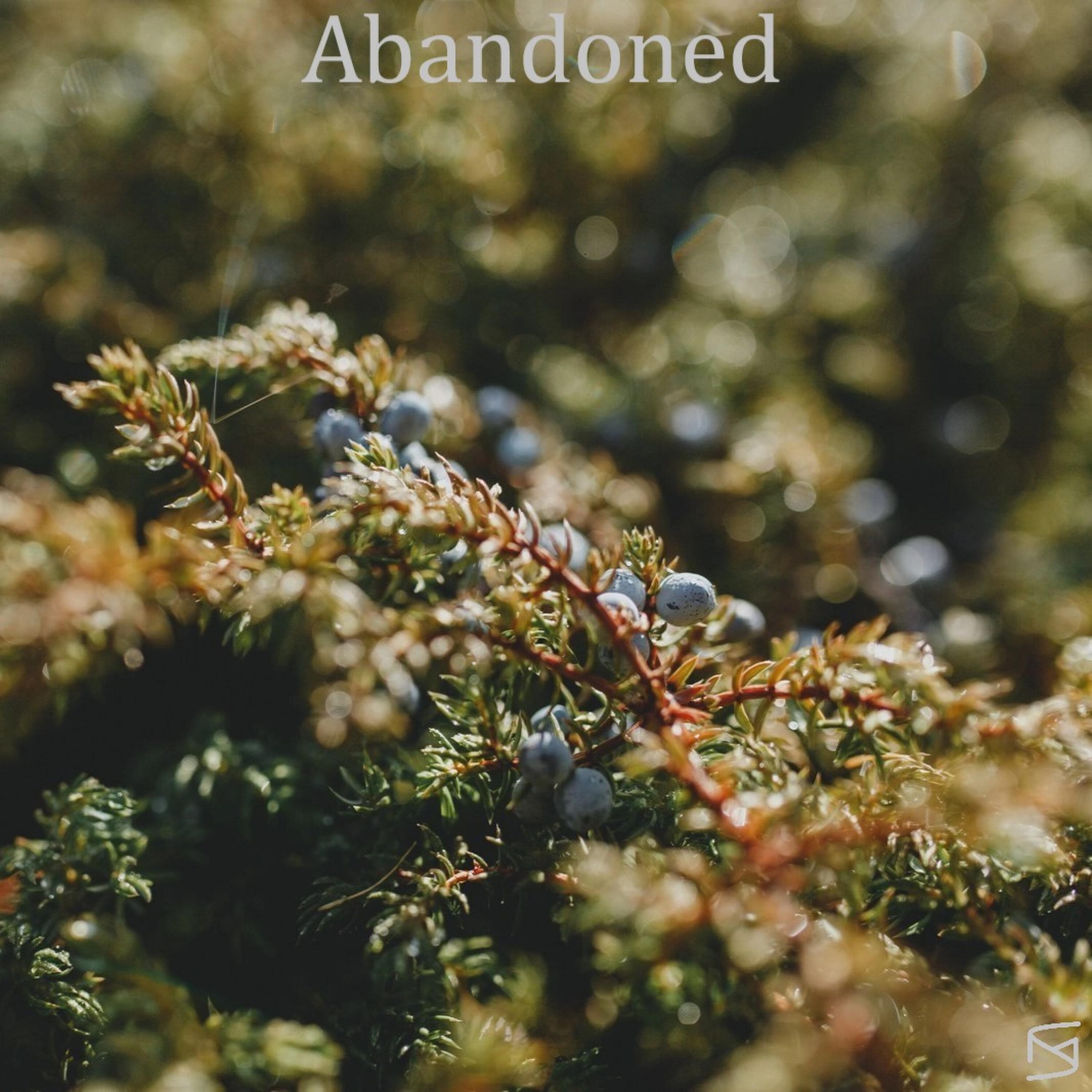 Релиз Abandoned