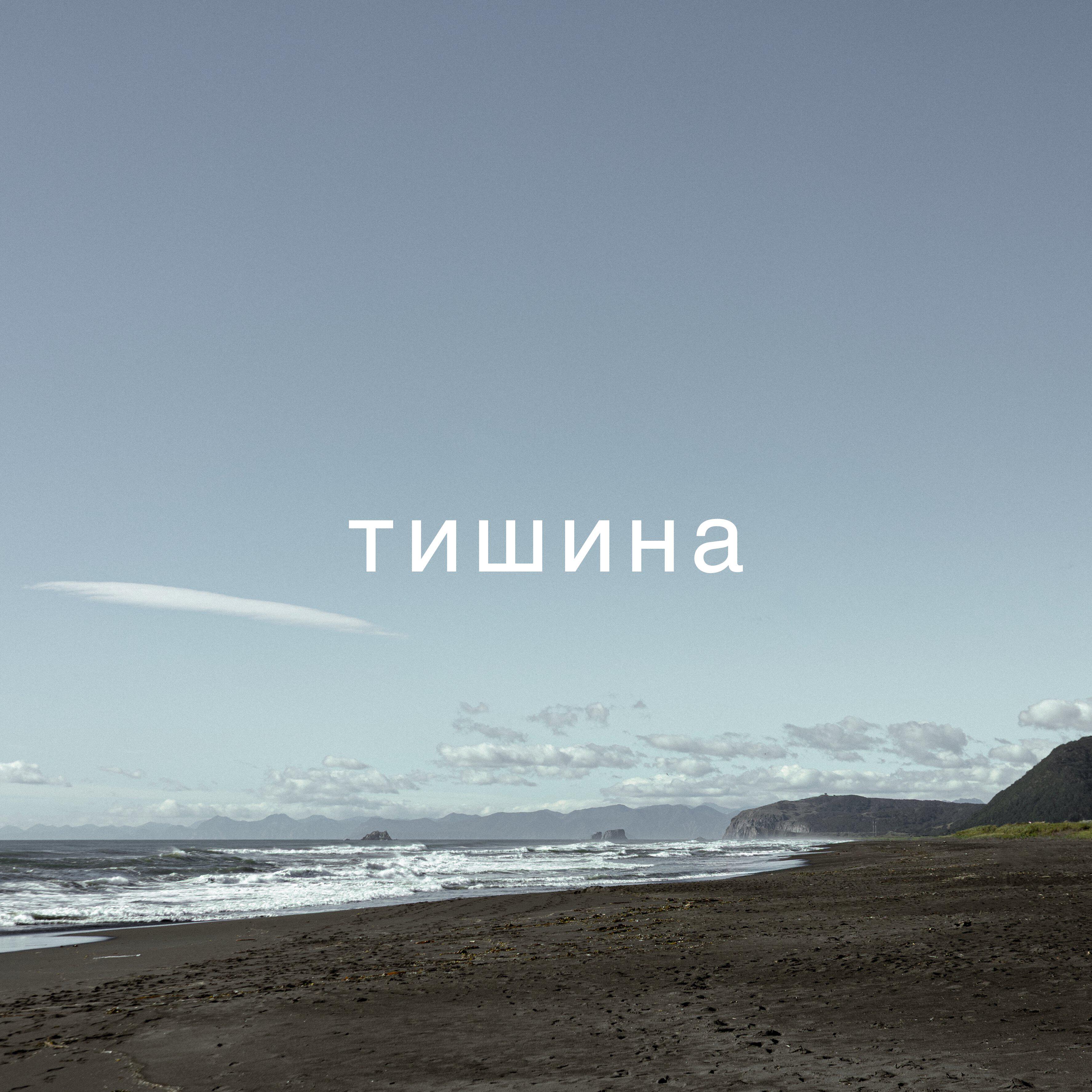 Релиз Тишина