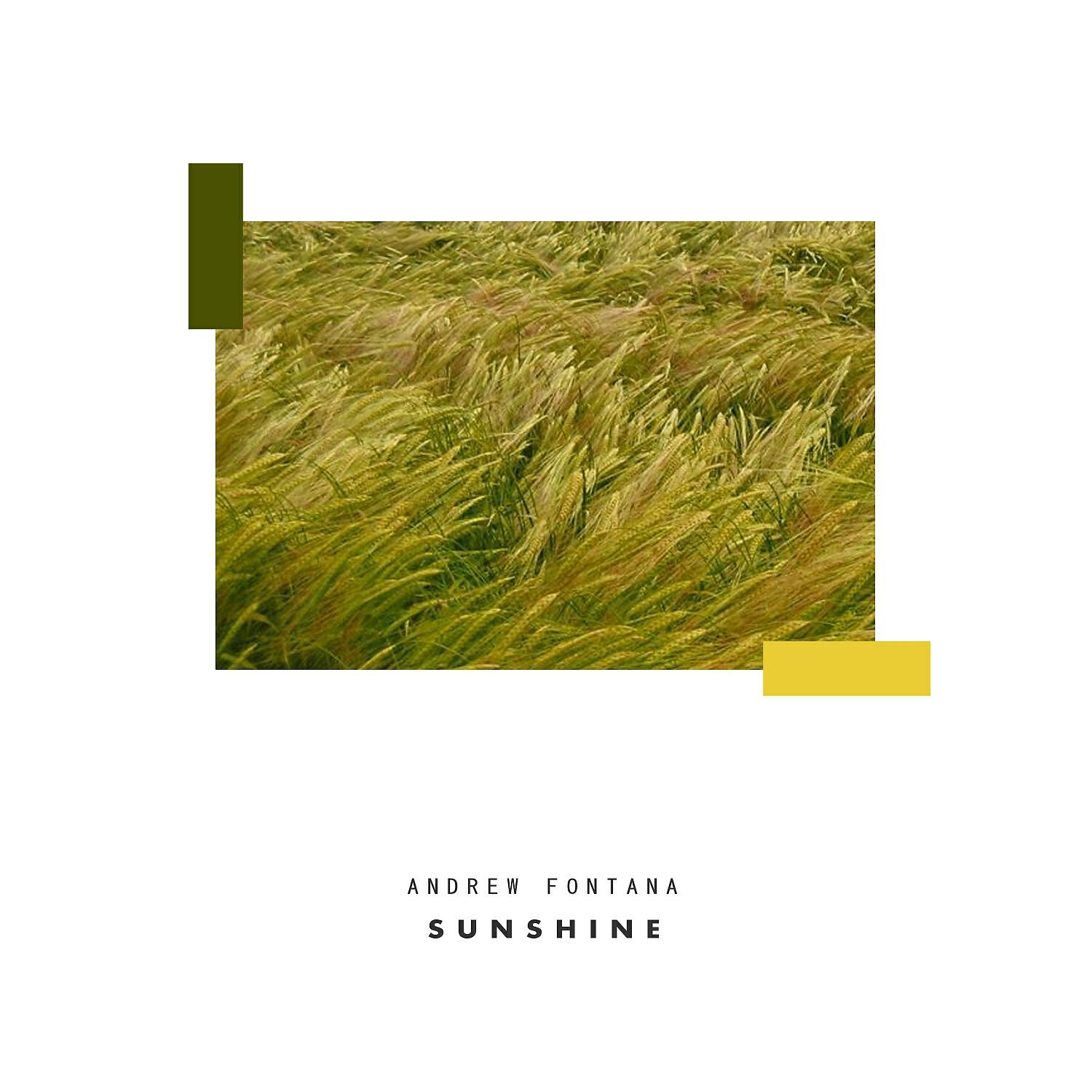 Релиз Sunshine