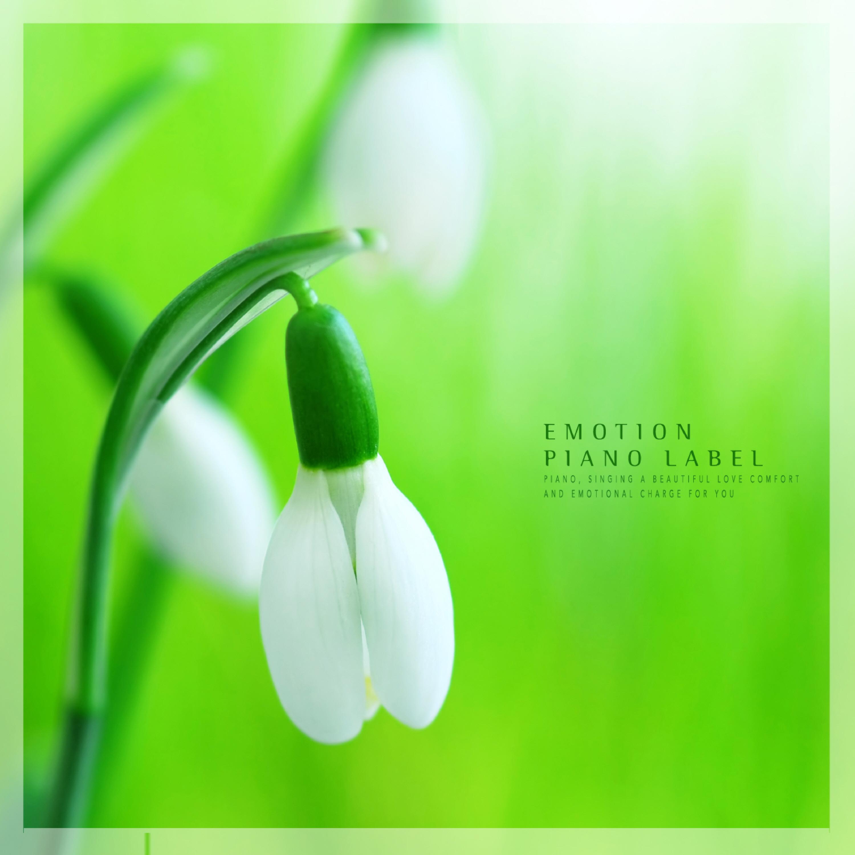 Релиз A beautiful piano collection that calms your mind