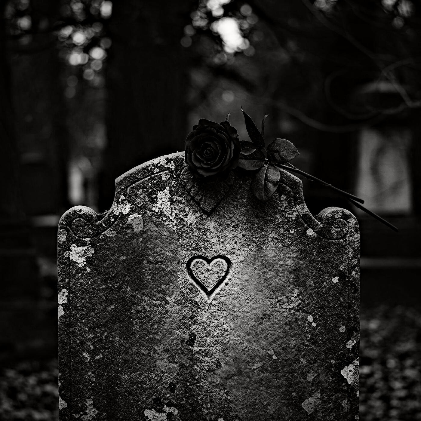 Релиз In Love With a Goth
