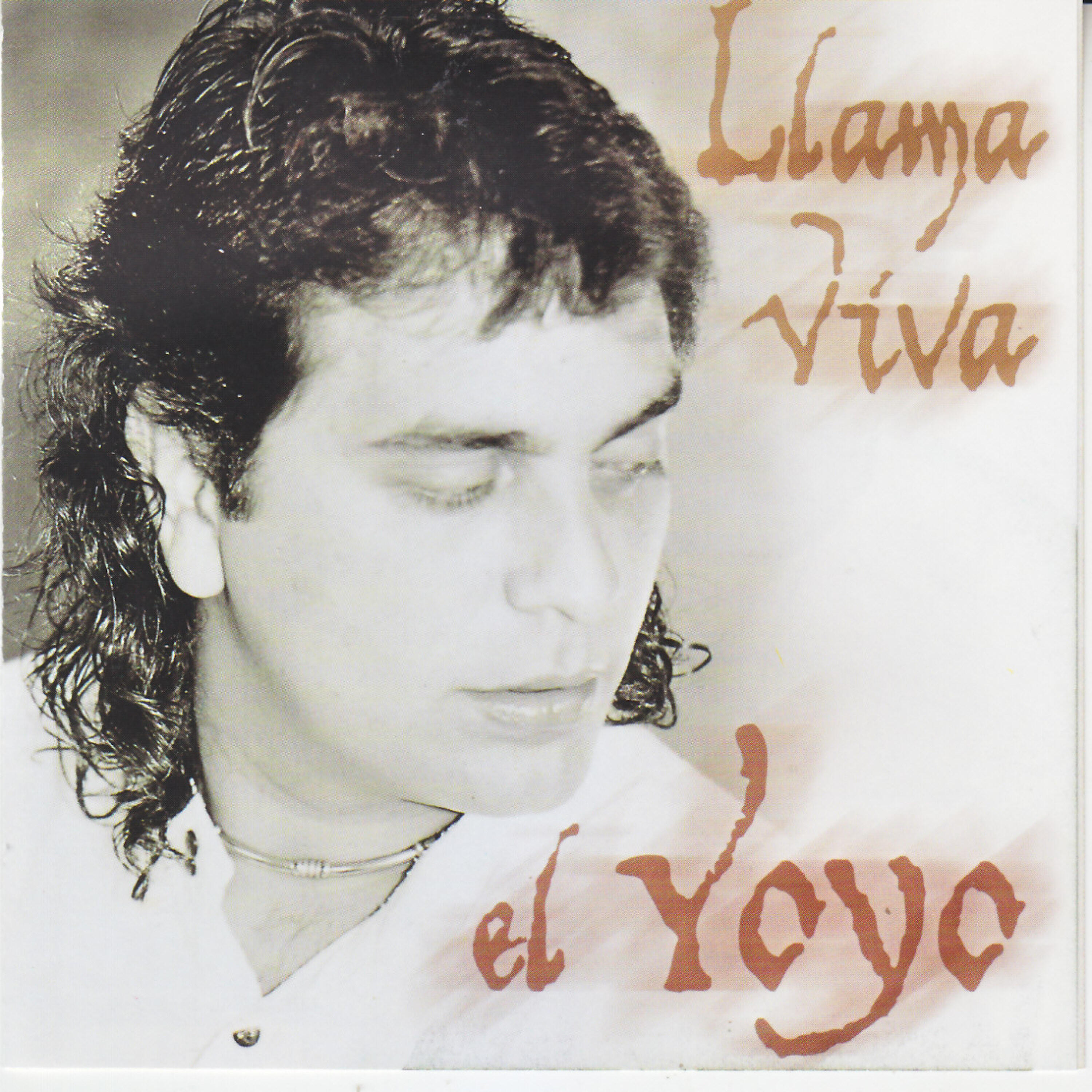 Релиз Llama Viva