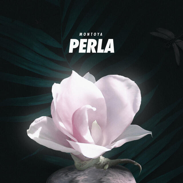 Релиз Perla