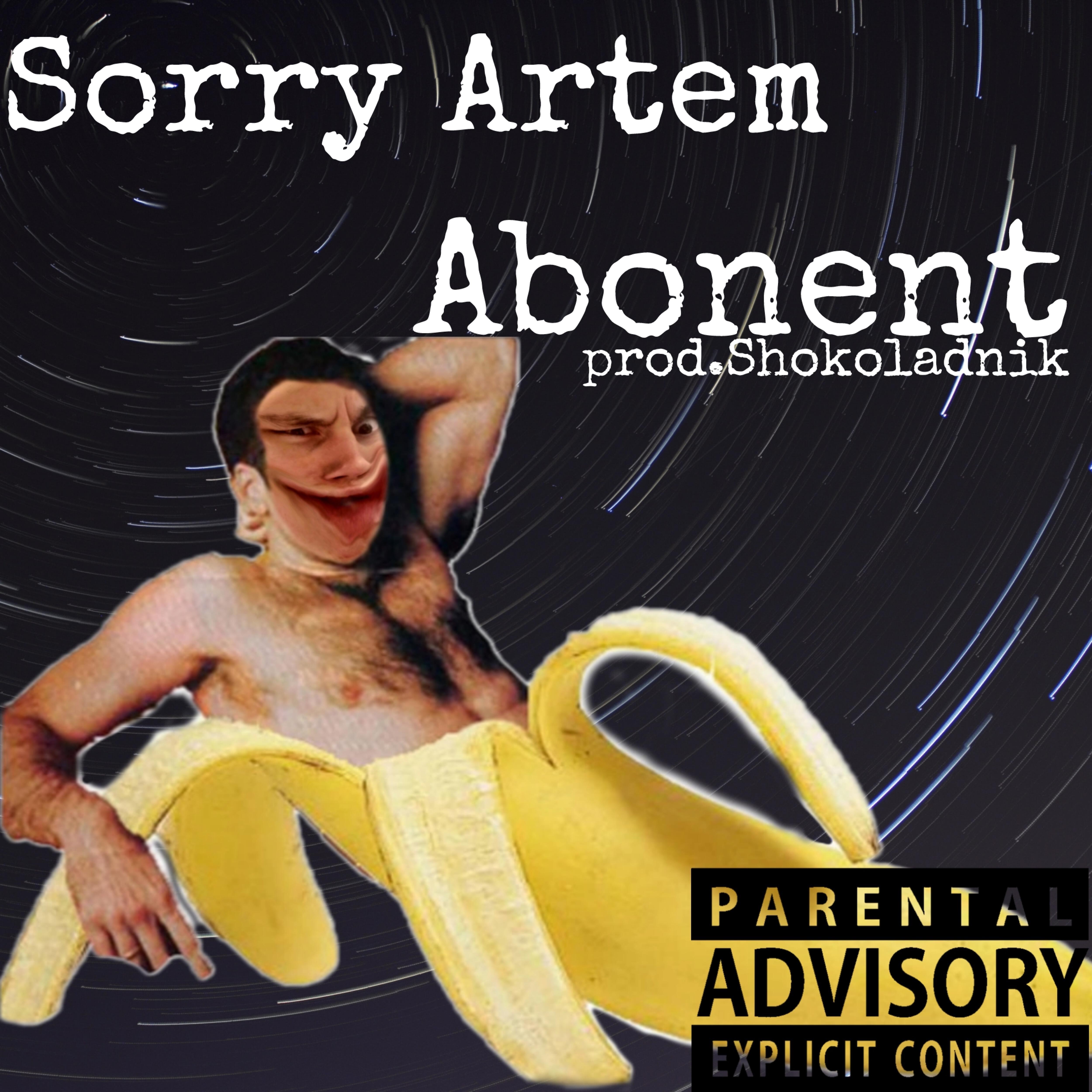 Релиз Sorry Artem