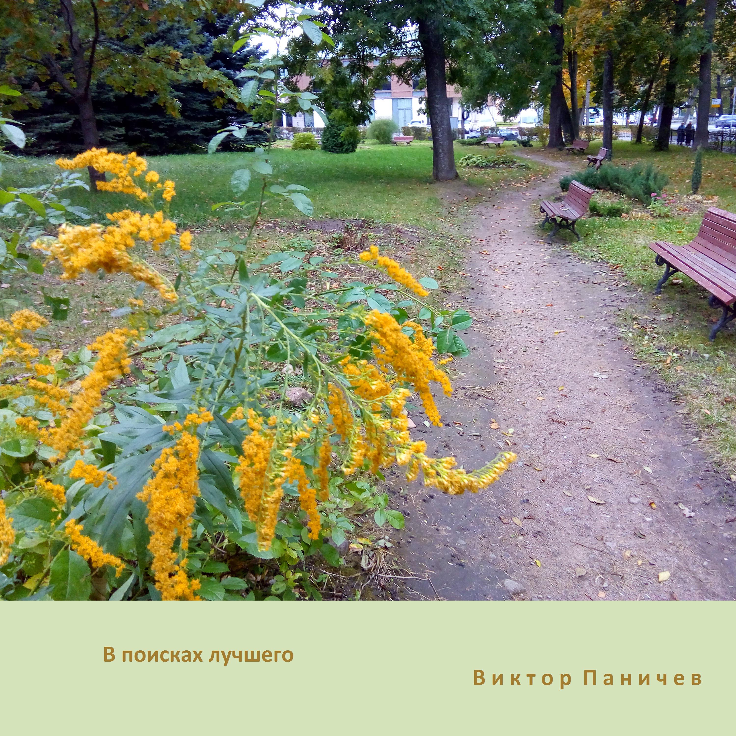 Релиз В поисках лучшего