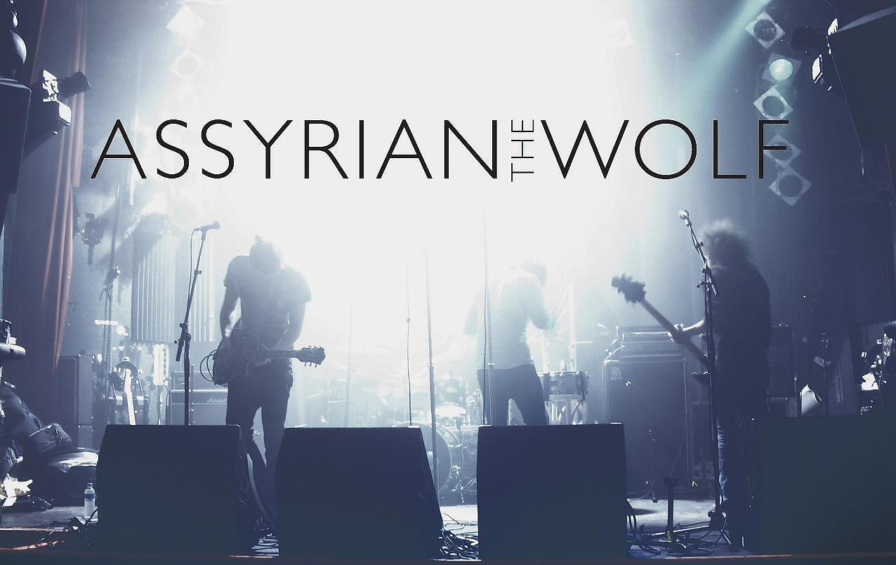 Assyrian The Wolf