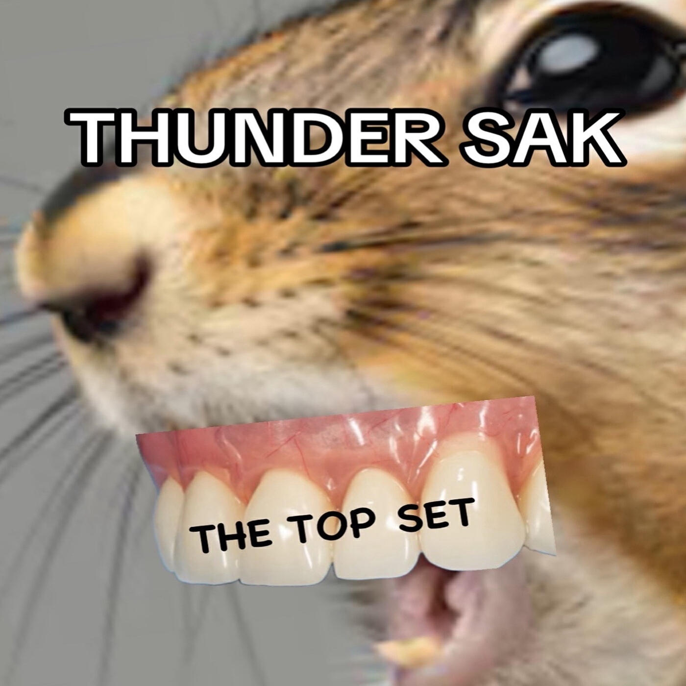 Релиз The Top Set