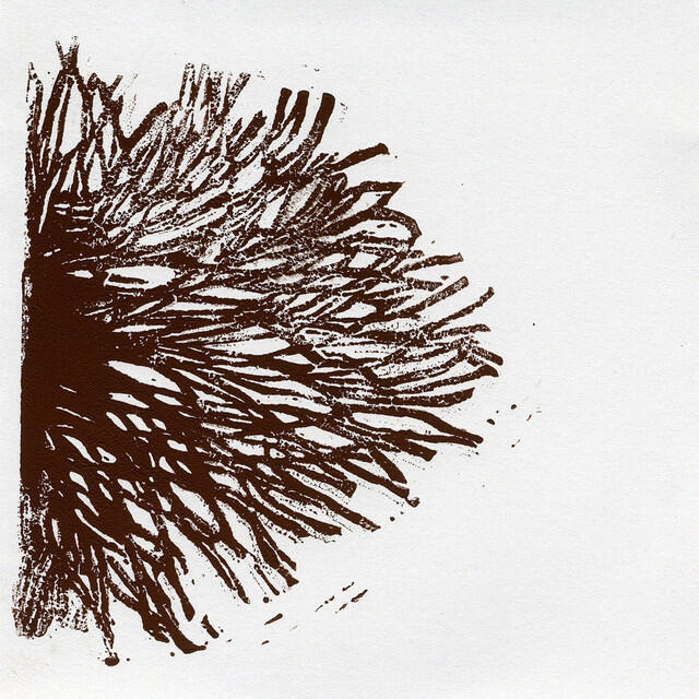 The Broken Blackbird Ensemble