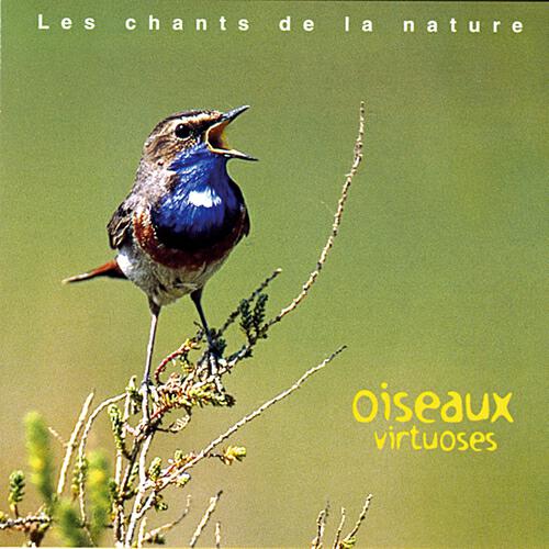 Релиз Les chants de la nature : Oiseaux virtuoses