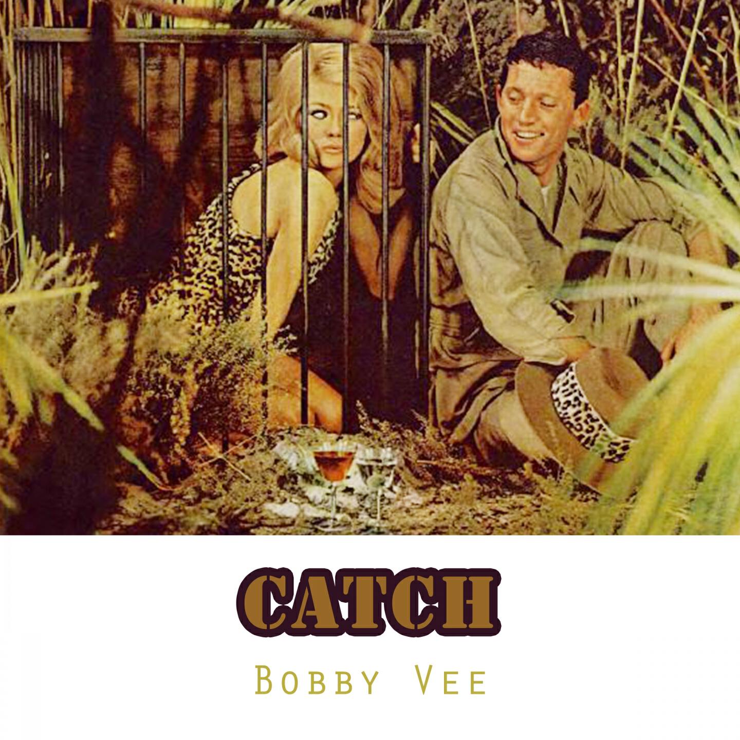 Релиз Catch
