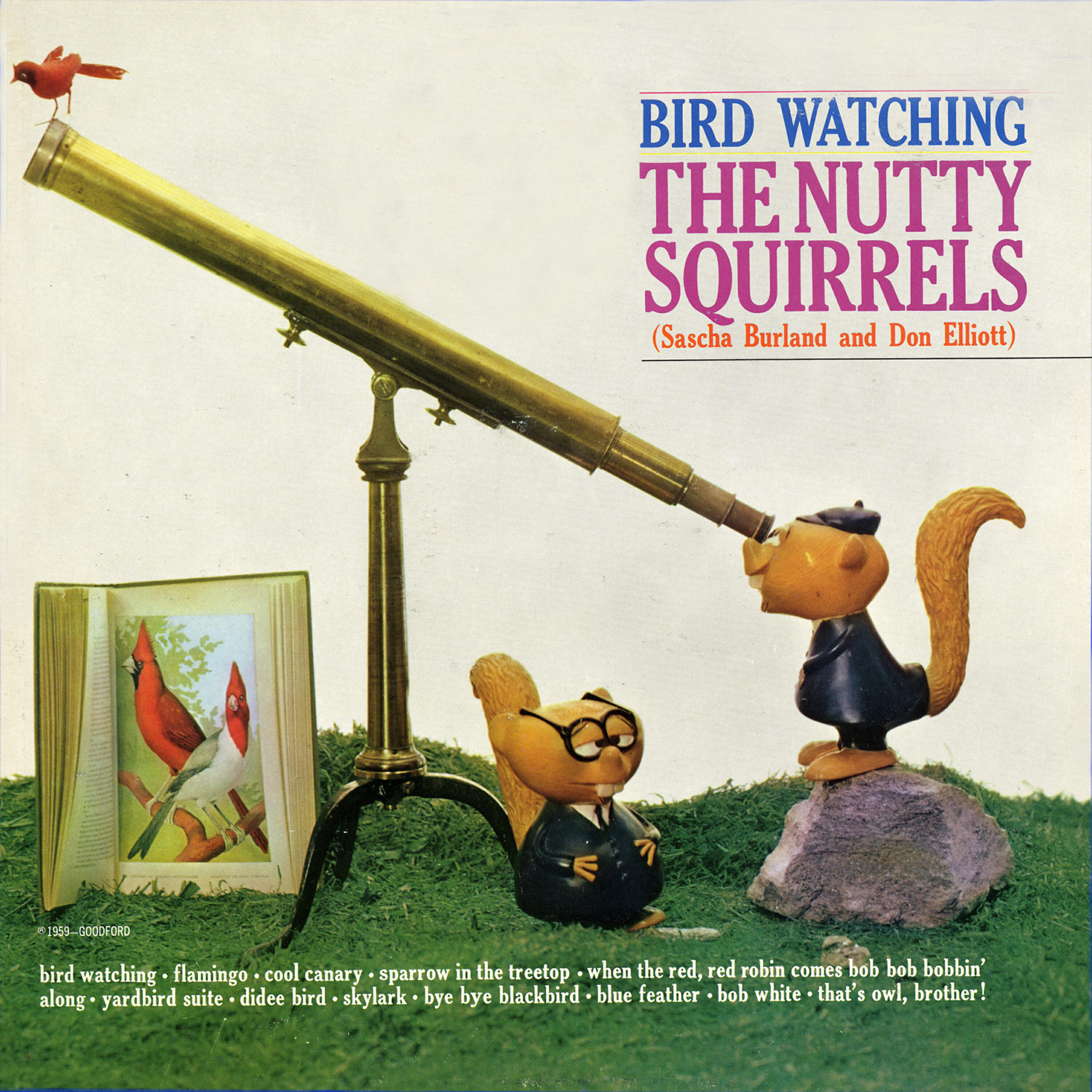 Релиз Bird Watching