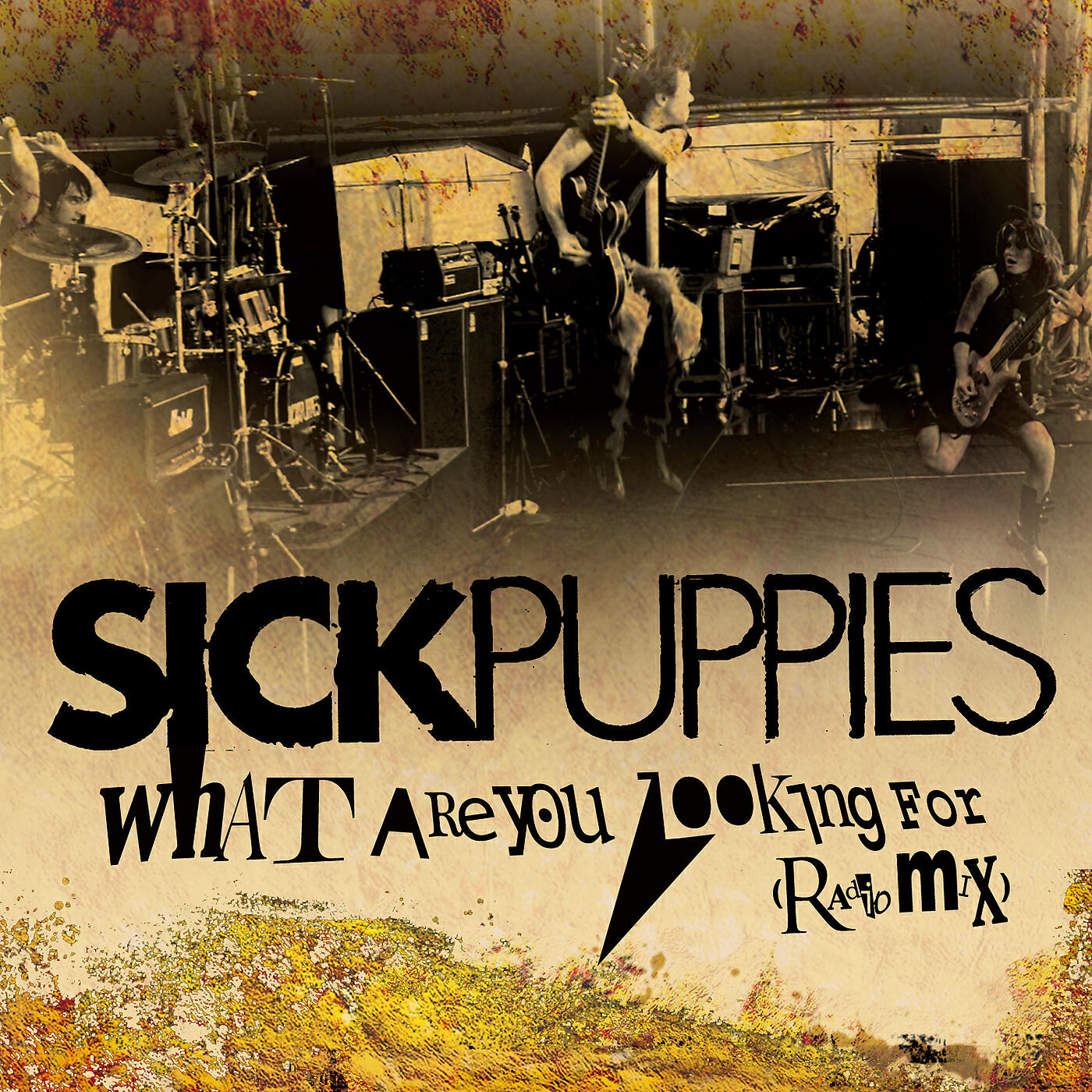 Релиз What Are You Looking For (Radio Mix)