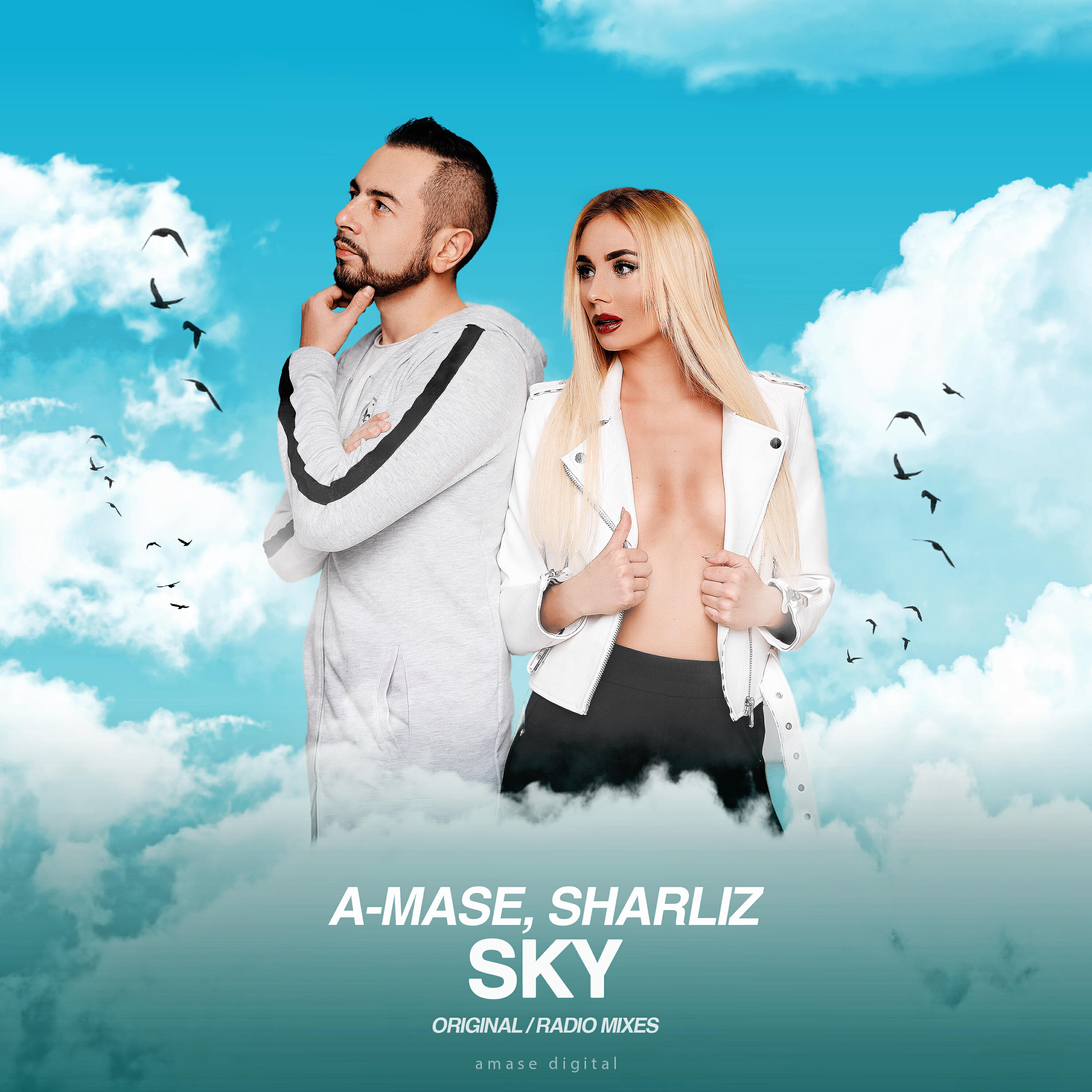 Постер альбома Sky