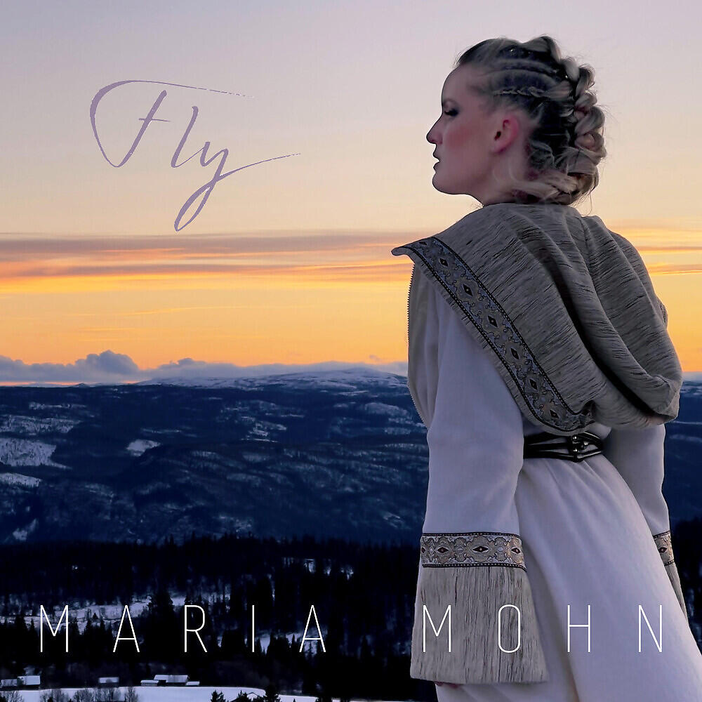 Релиз Fly