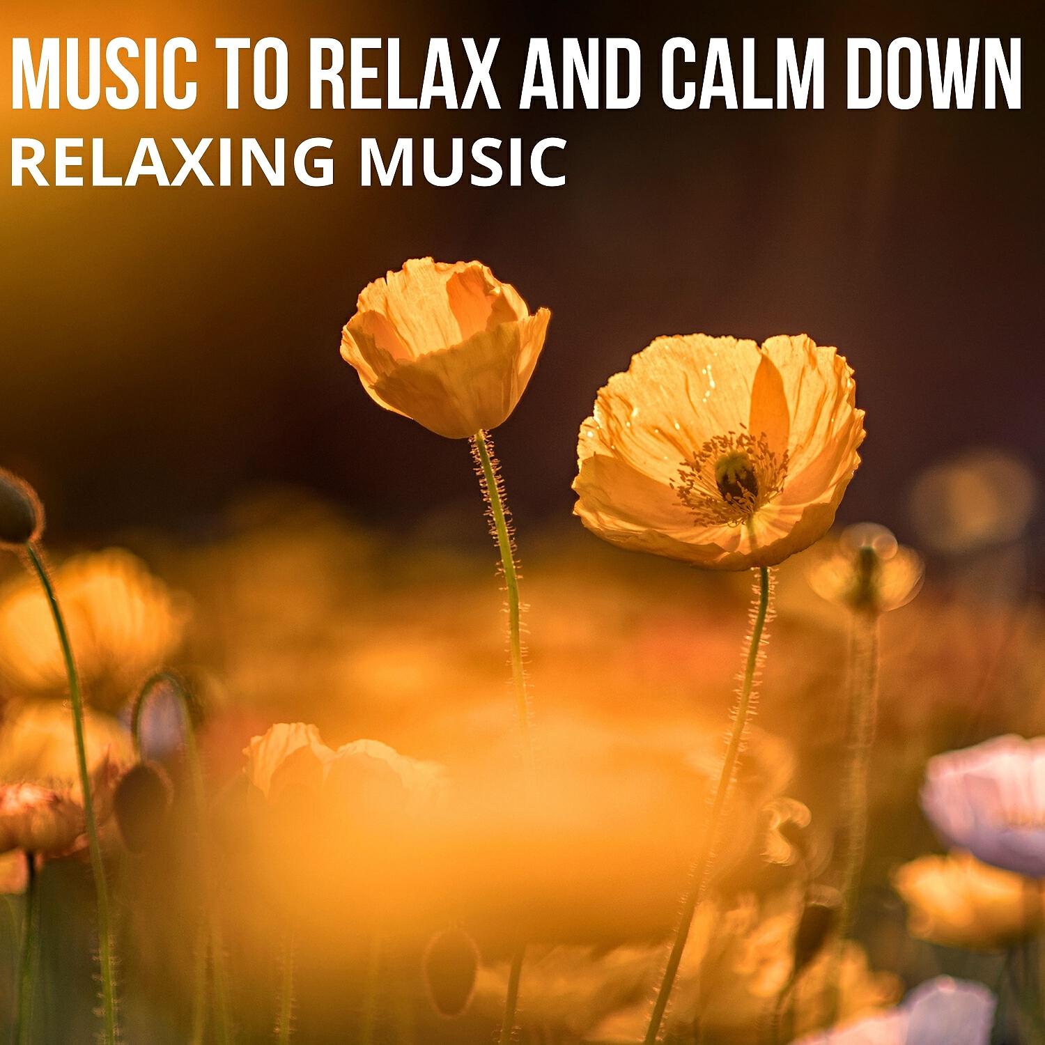 Релиз Music to Relax and Calm Down