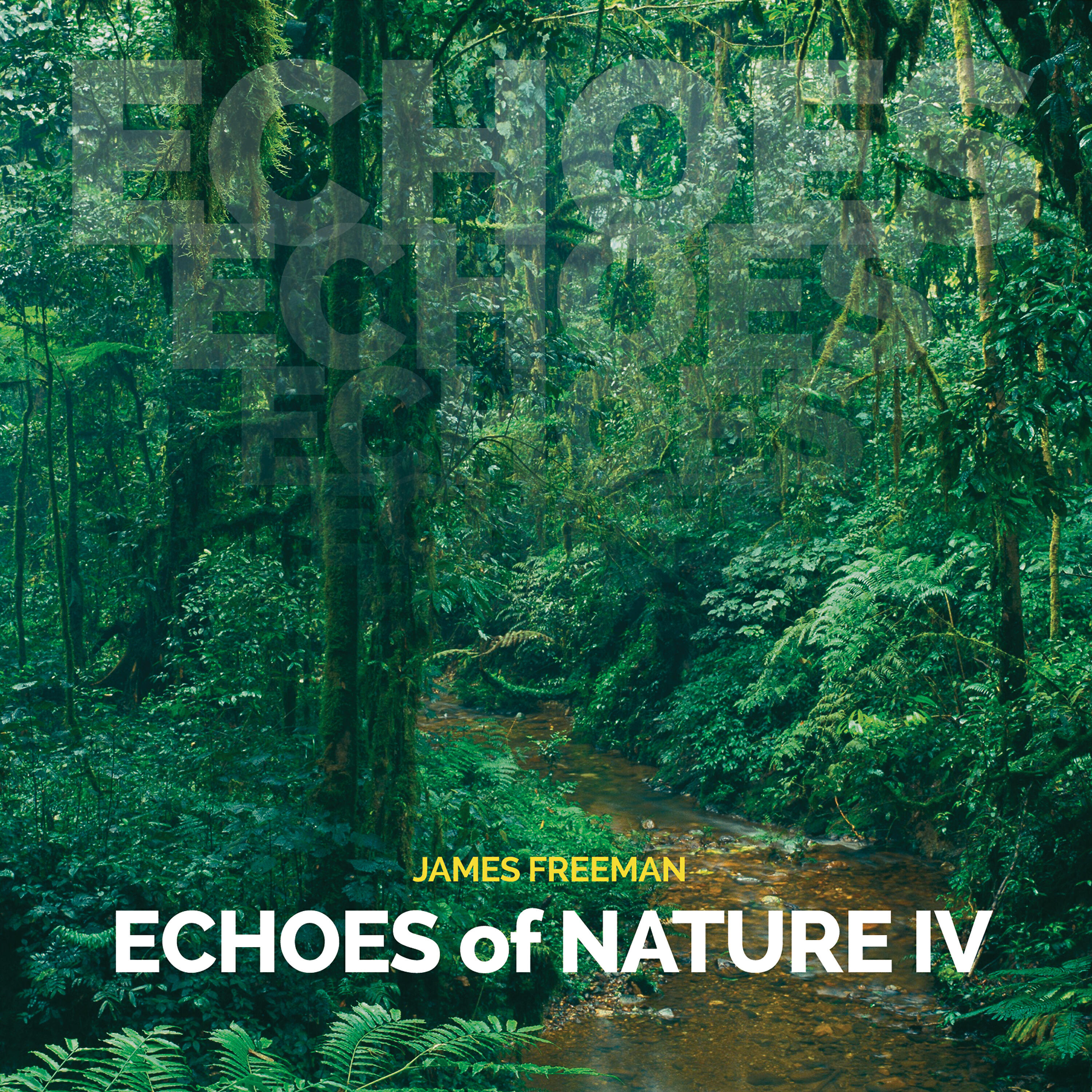 Релиз Echoes of Nature IV