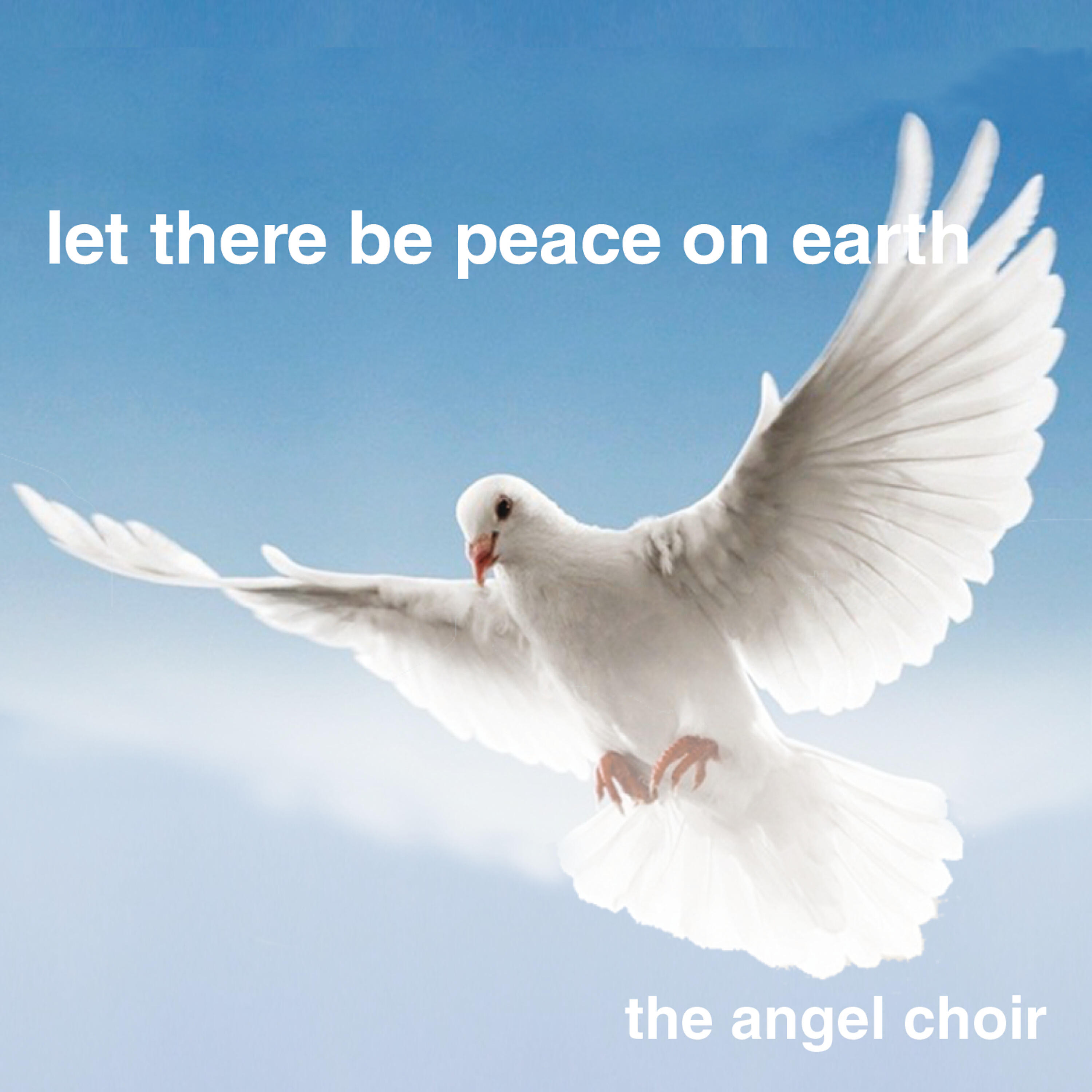 The Angel Choir
