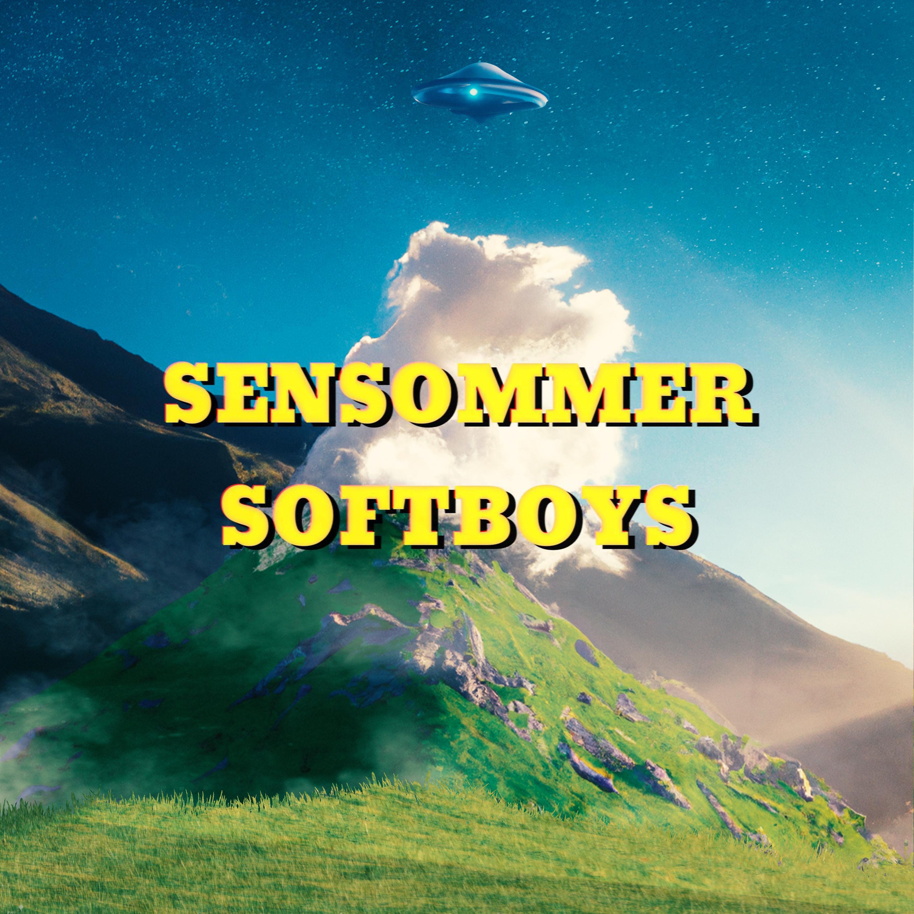 Релиз SenSommer SoftBoyS