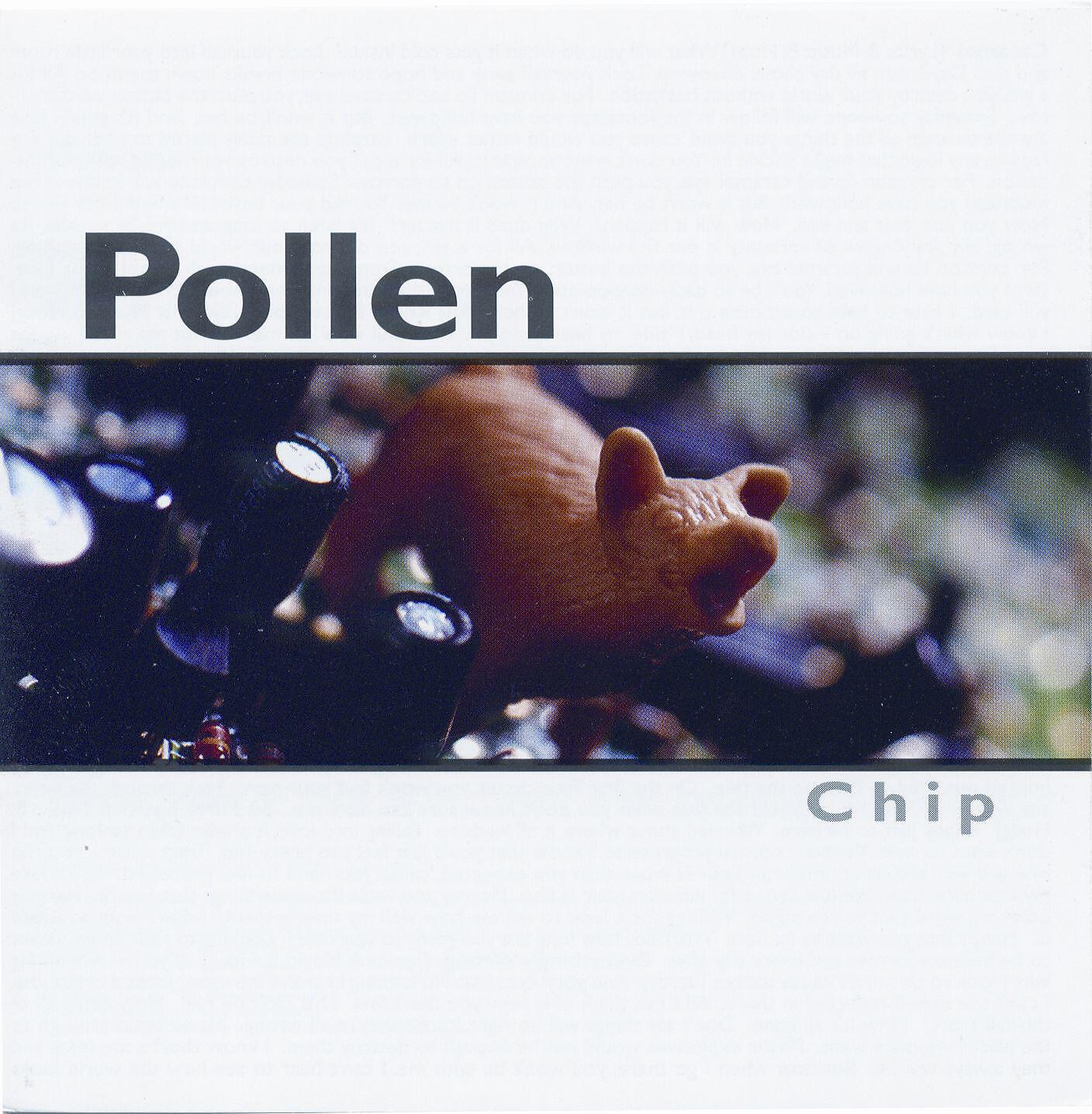 Релиз Chip