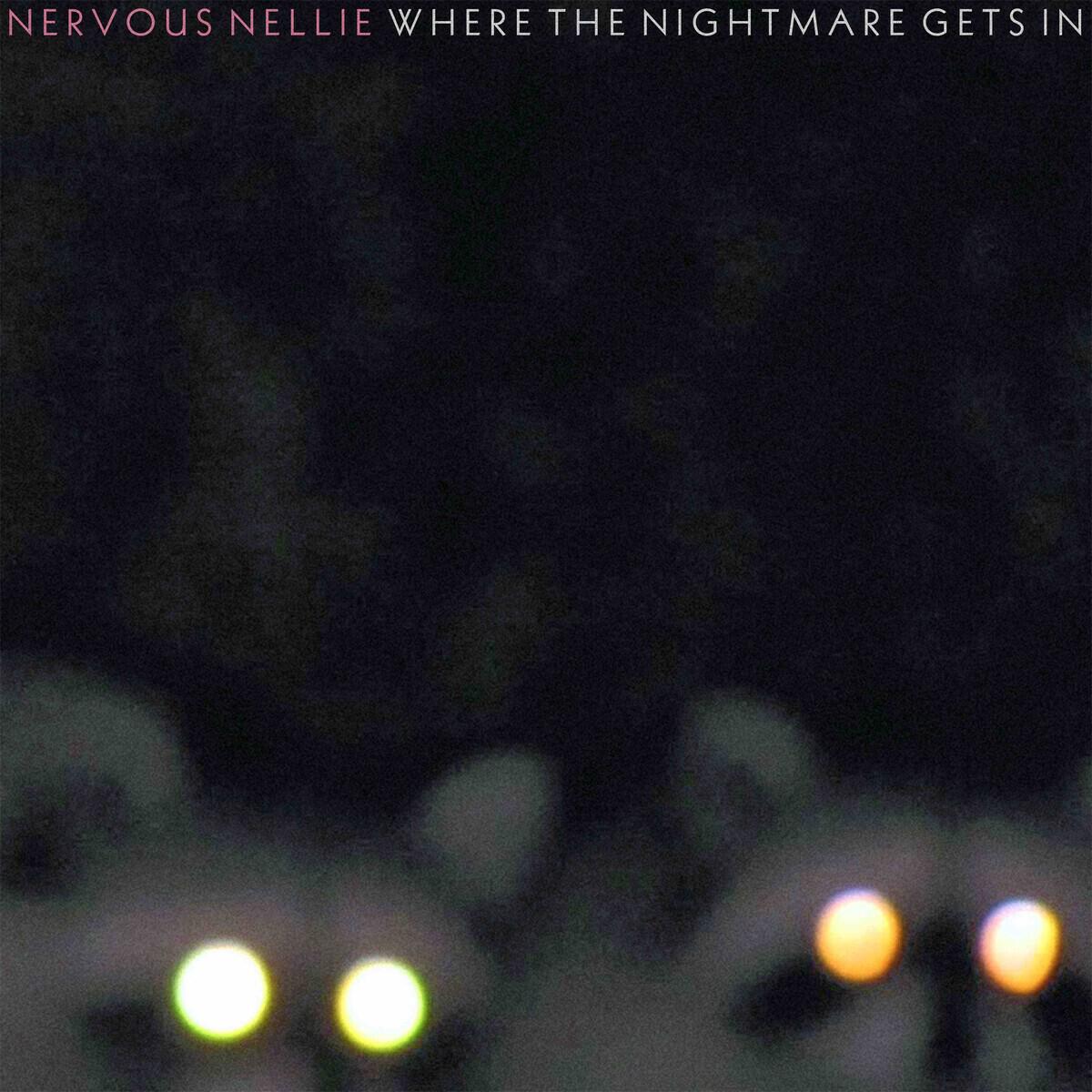 Релиз Where the Nightmare Gets In