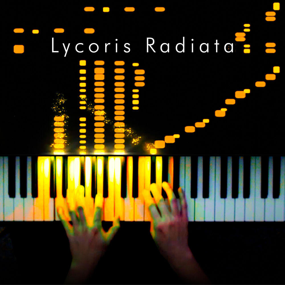 Musicalbasics