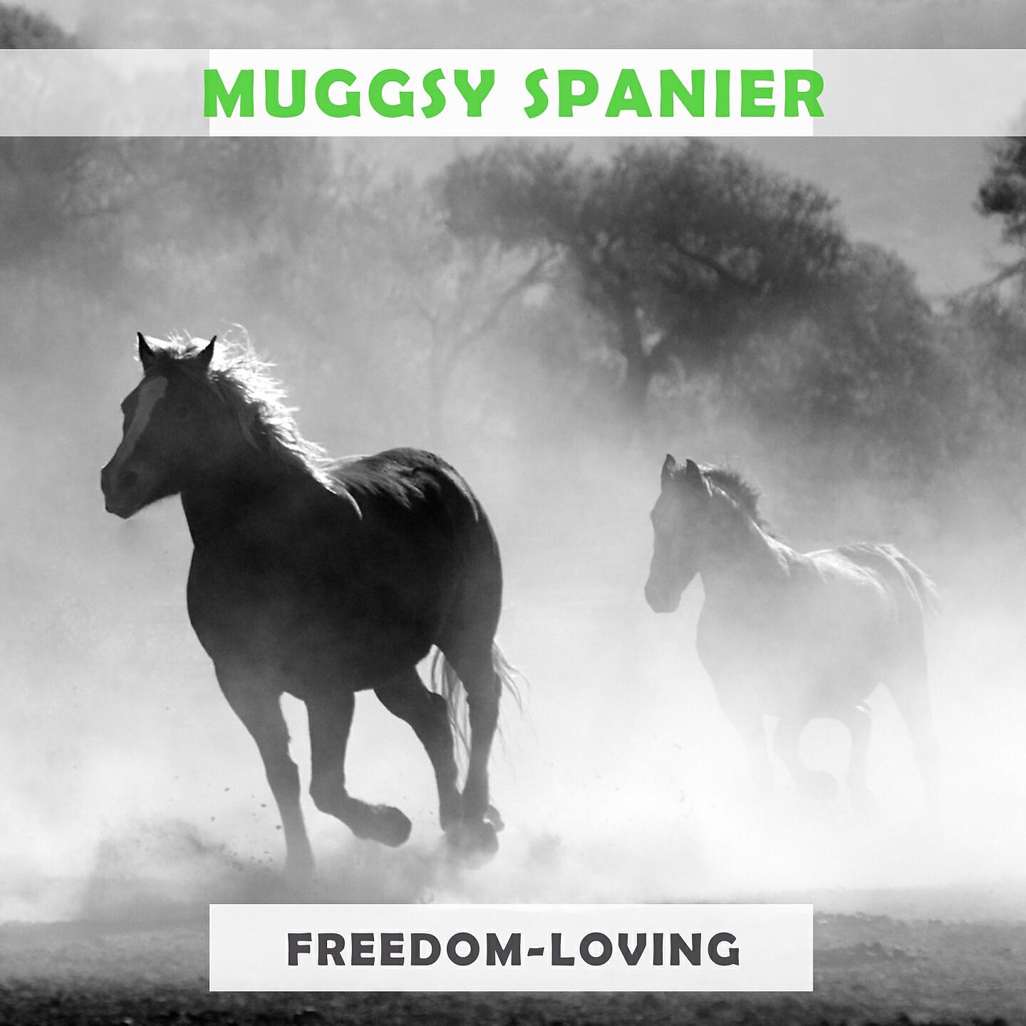 Релиз Freedom Loving
