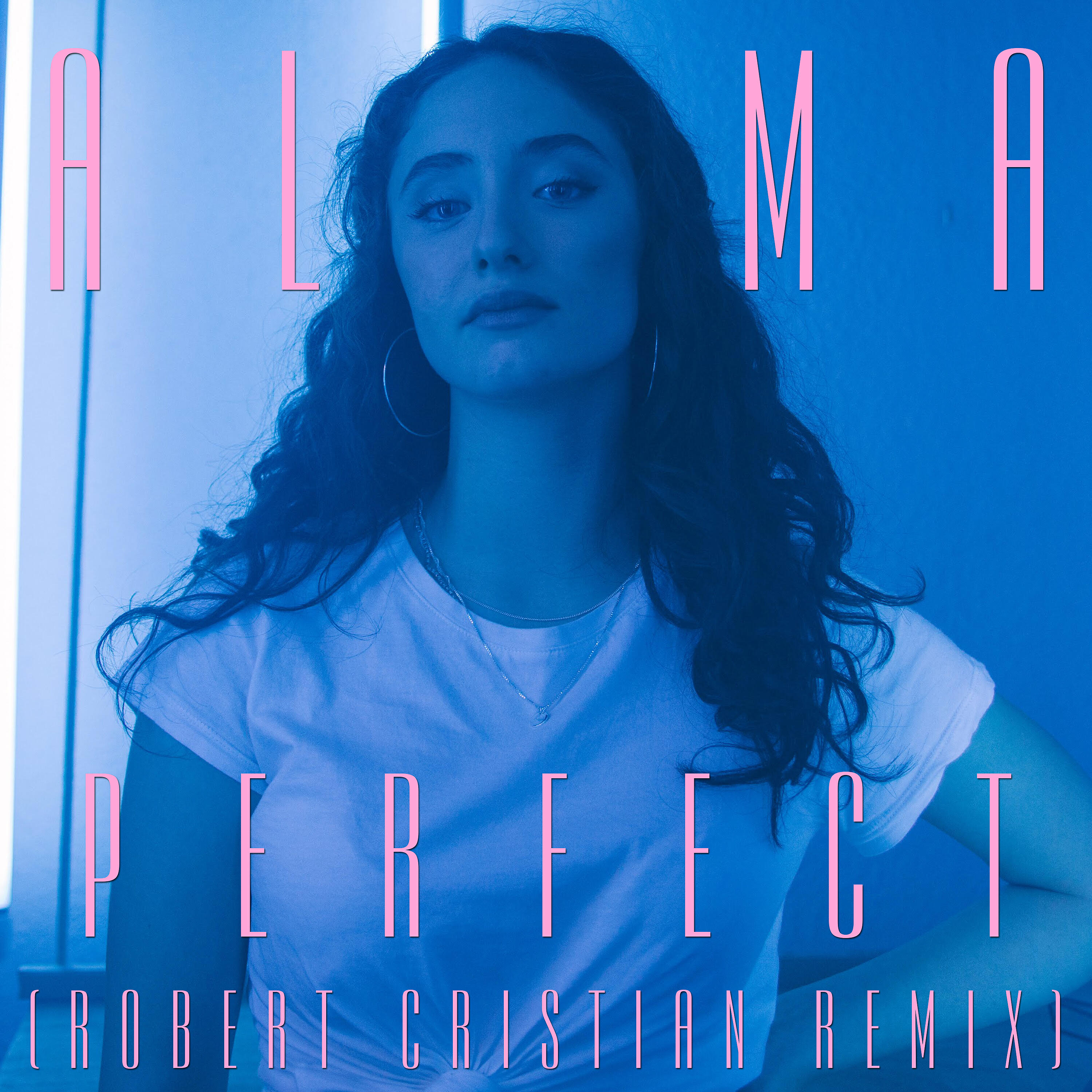 Релиз Perfect (Robert Cristian Remix)