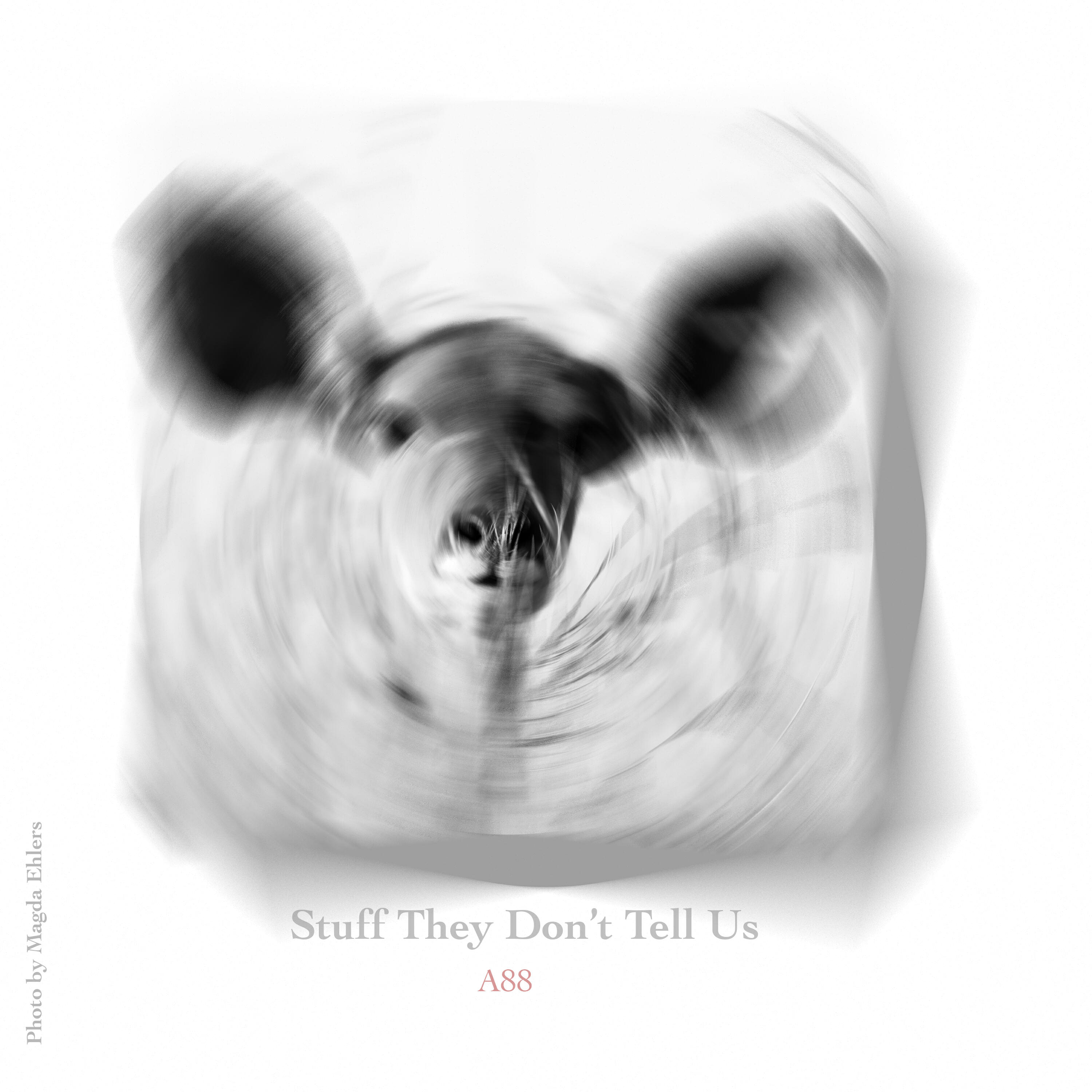 Релиз Stuff They Don't Tell Us