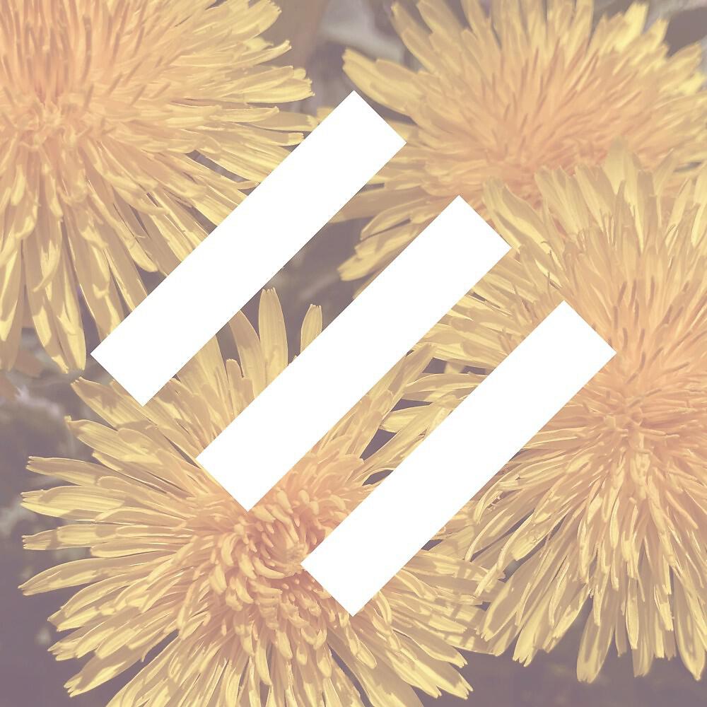 Релиз Flowers