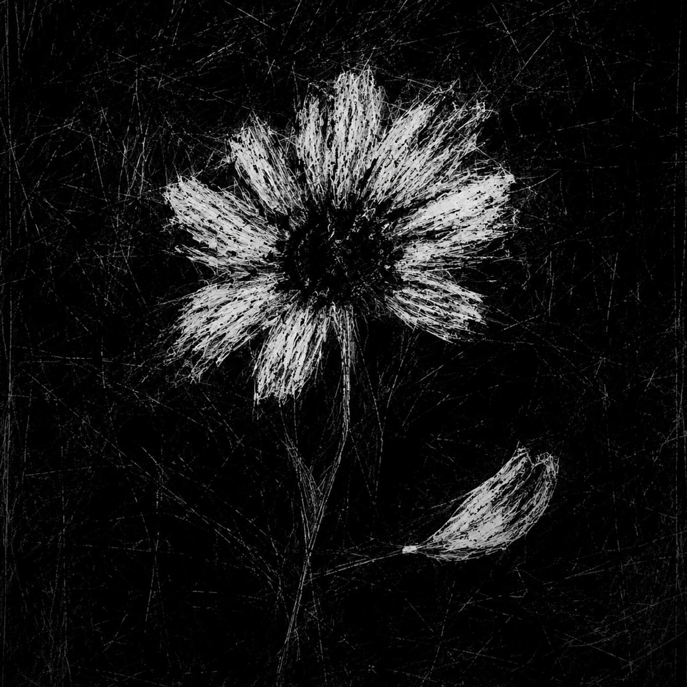 Релиз Even the Prettiest Flower Can Miss a Petal