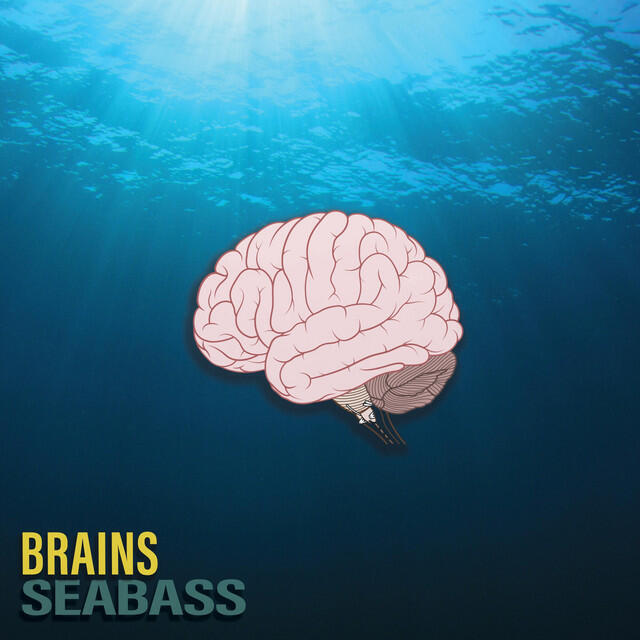Релиз Brains
