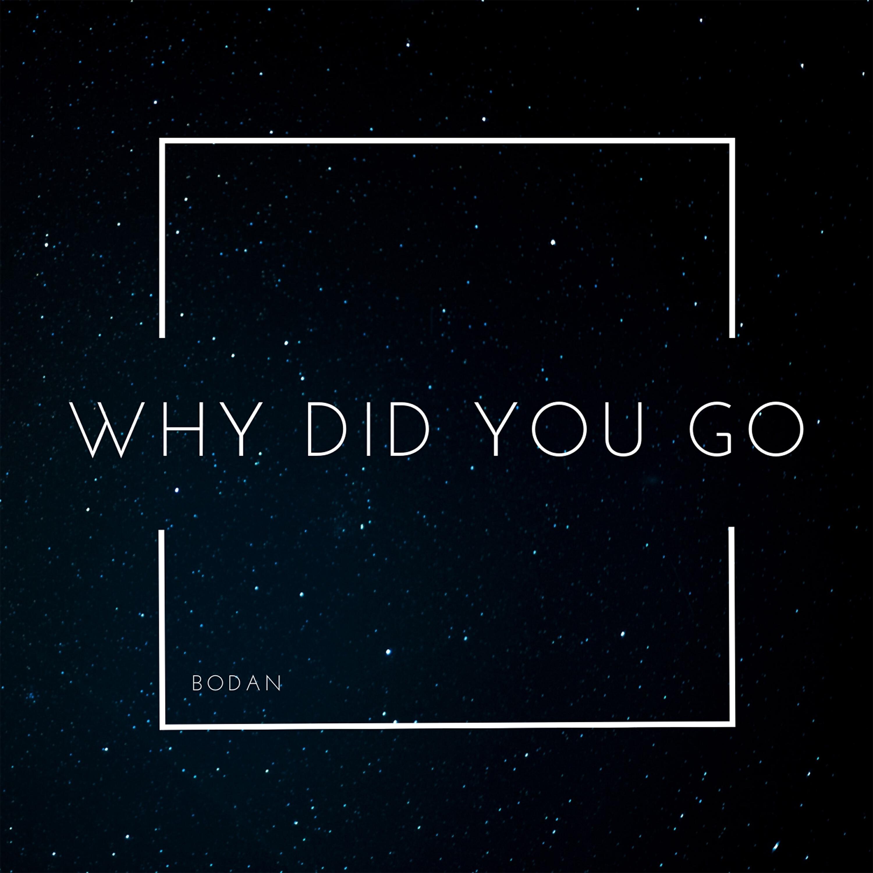Релиз Why Did You Go