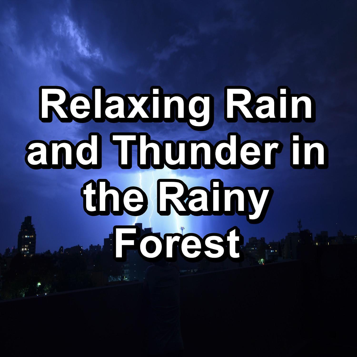 Трек Gentle Rain and Thunder Storm Loopable for 20 Hours