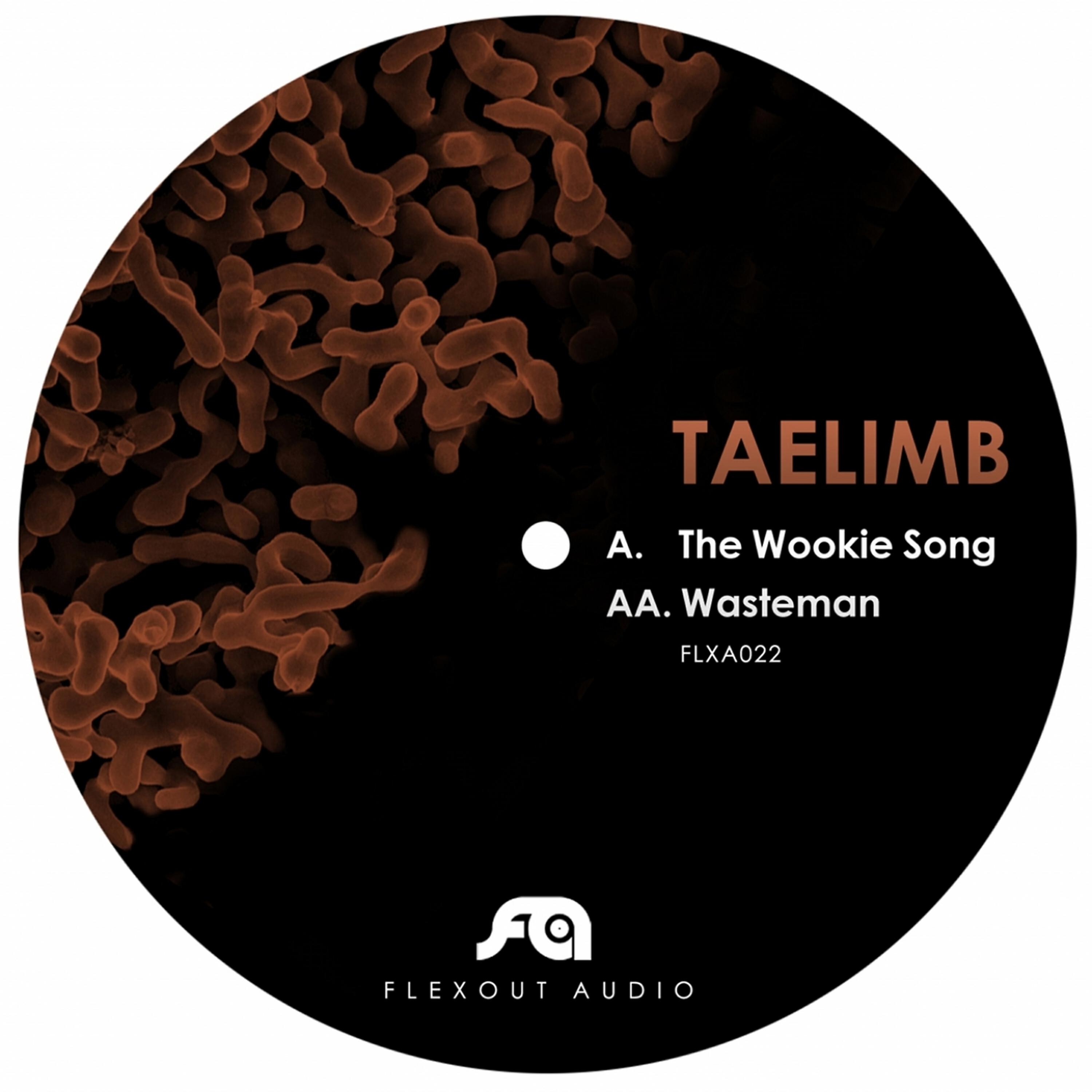 Релиз The Wookie Song / Wasteman