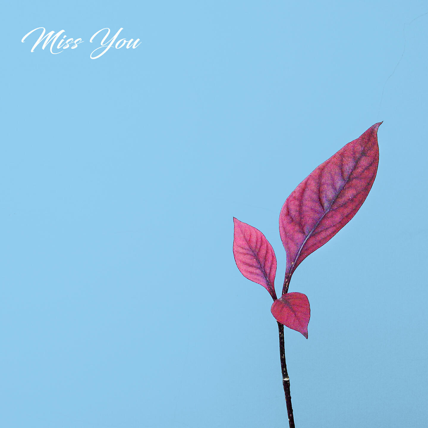 Релиз Miss You