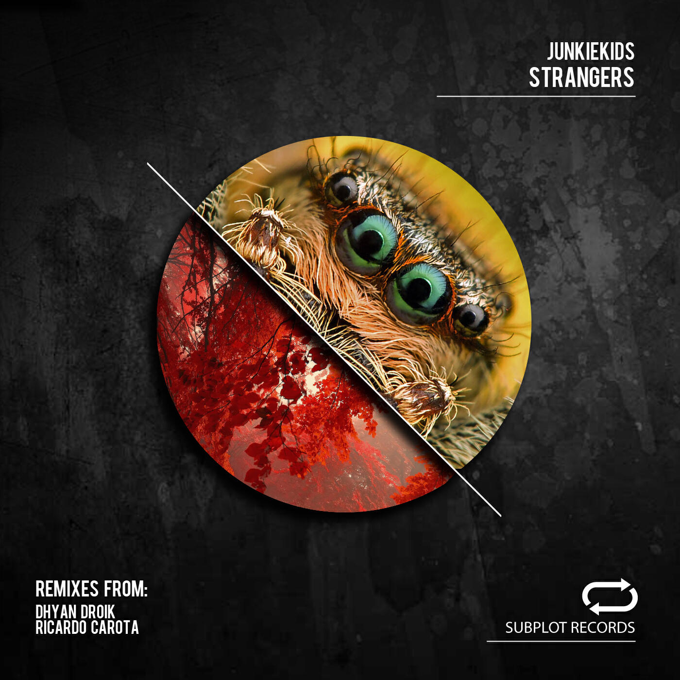 Релиз Strangers