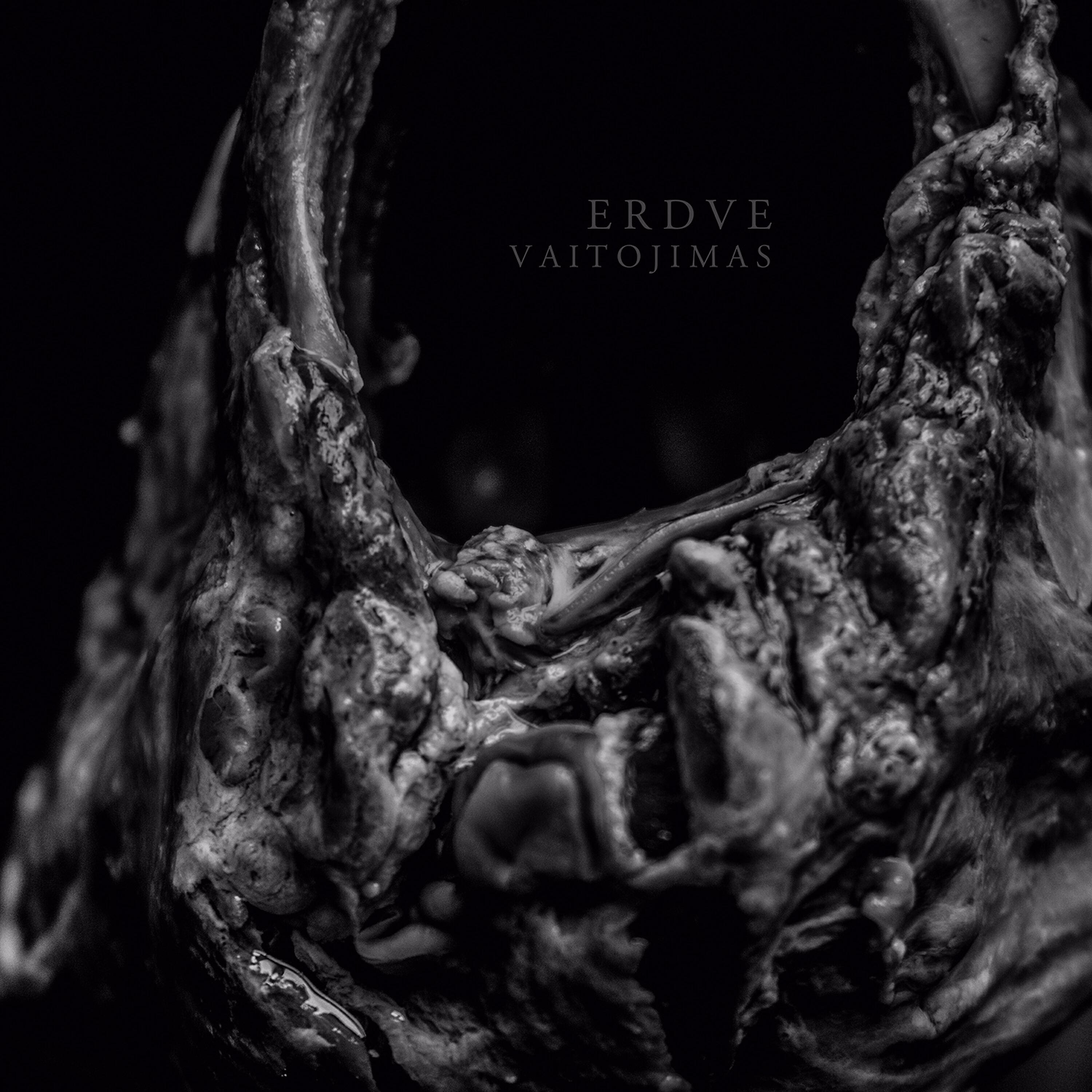 Релиз Prievarta