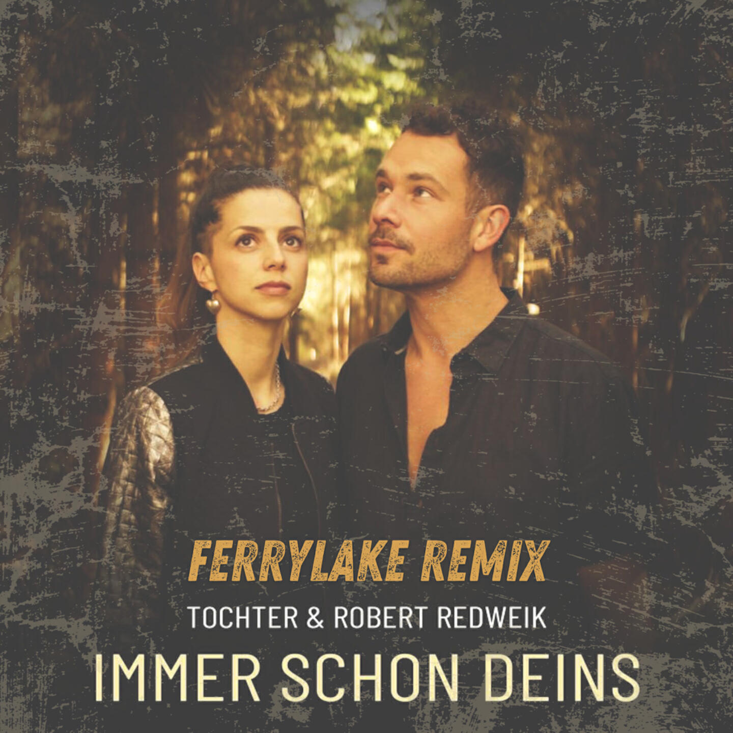 Релиз Immer schon Deins (Ferrylake Remix)