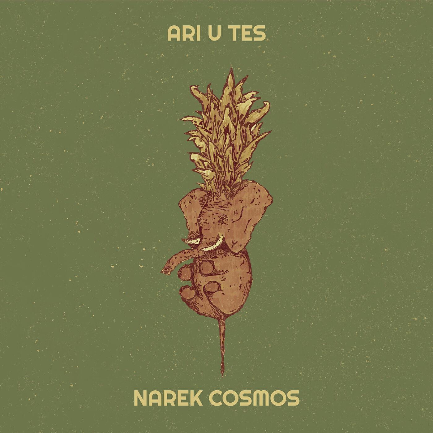 Narek Cosmos