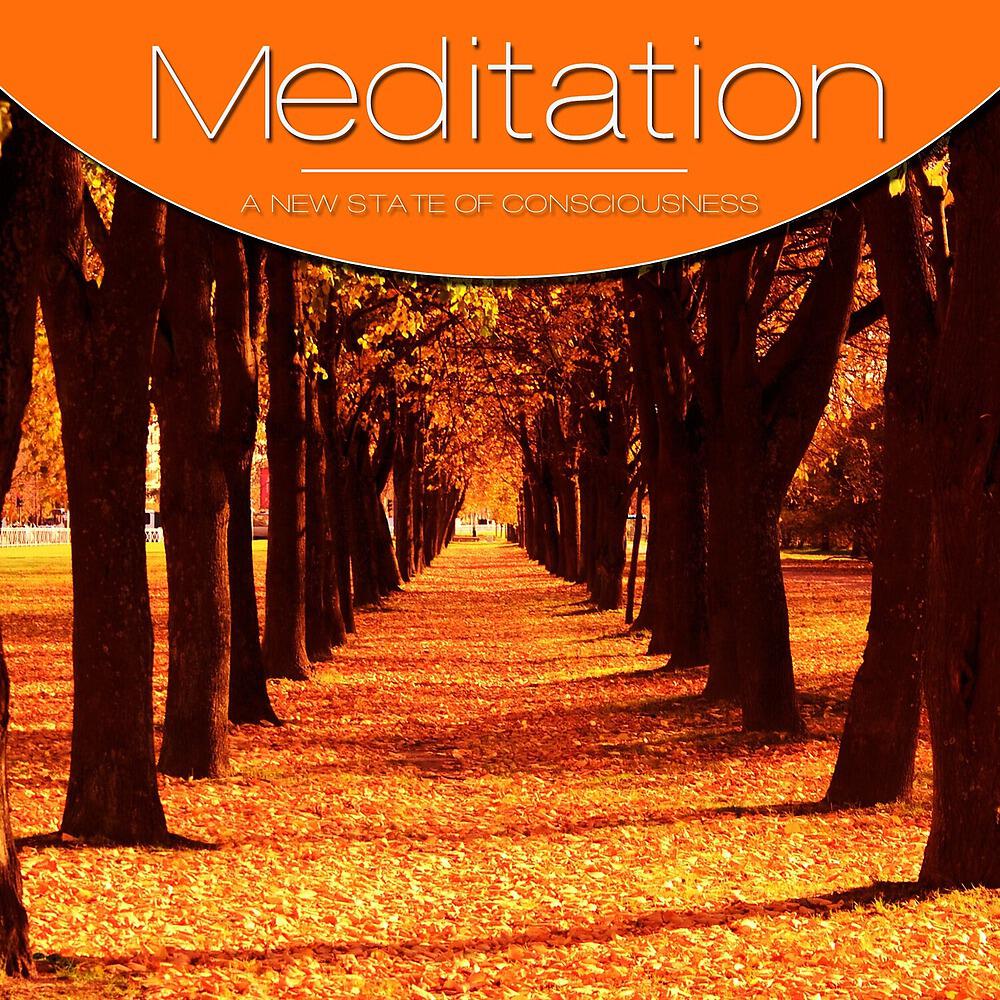 Релиз Meditation, Vol. Orange, Vol. 3