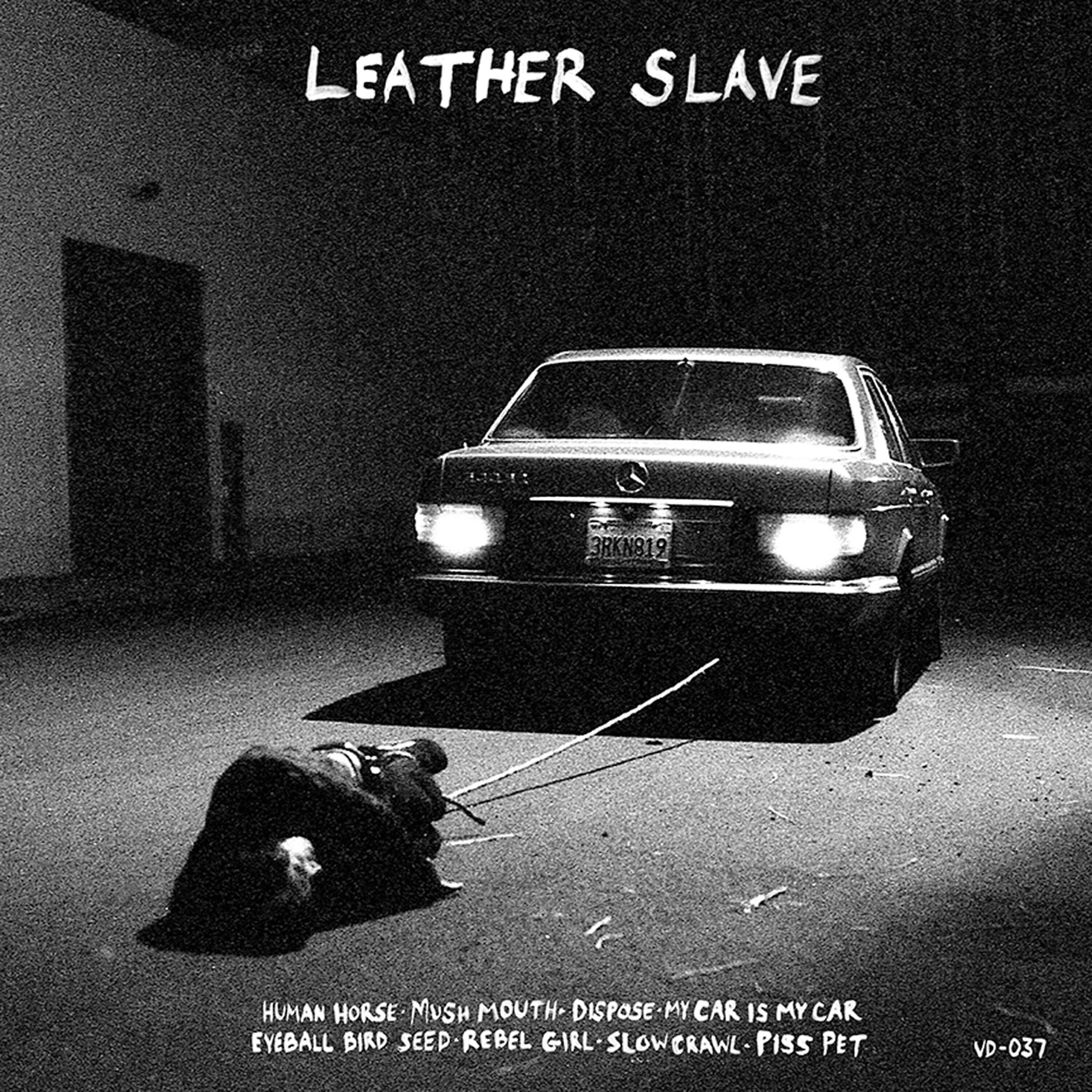 Leather Slave
