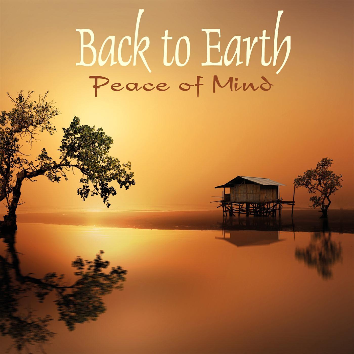 Релиз Peace of Mind