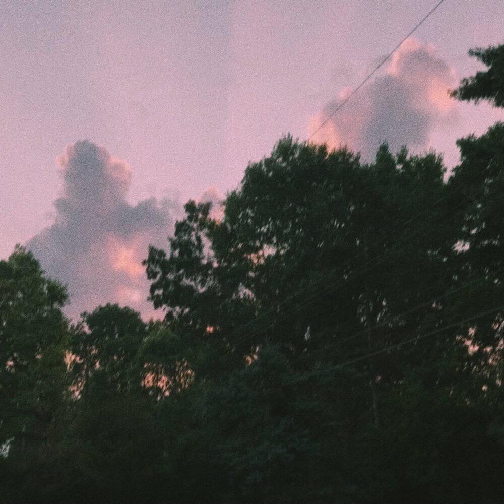 Релиз sunlight through trees