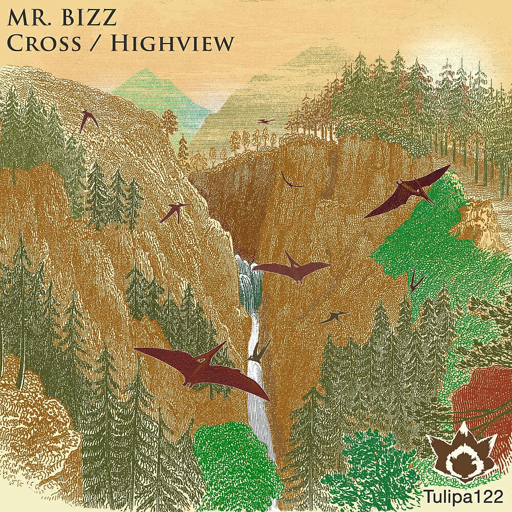 Скачать песню Mr.Bizz - Highview бесплатно в MP3 для Android и iOS