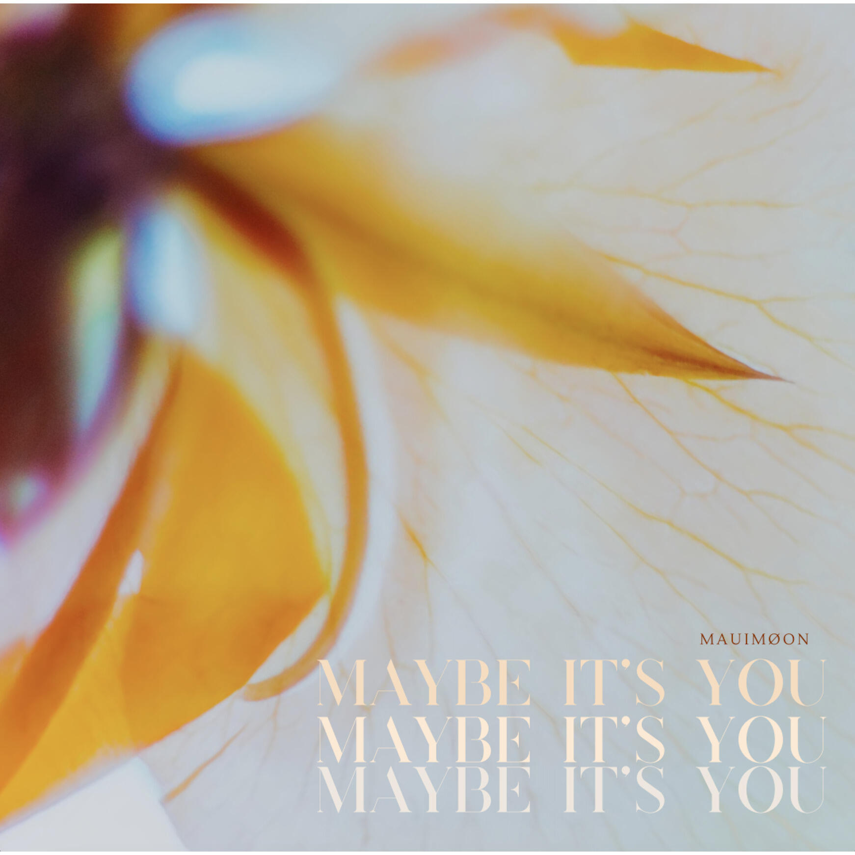 Релиз Maybe It's You