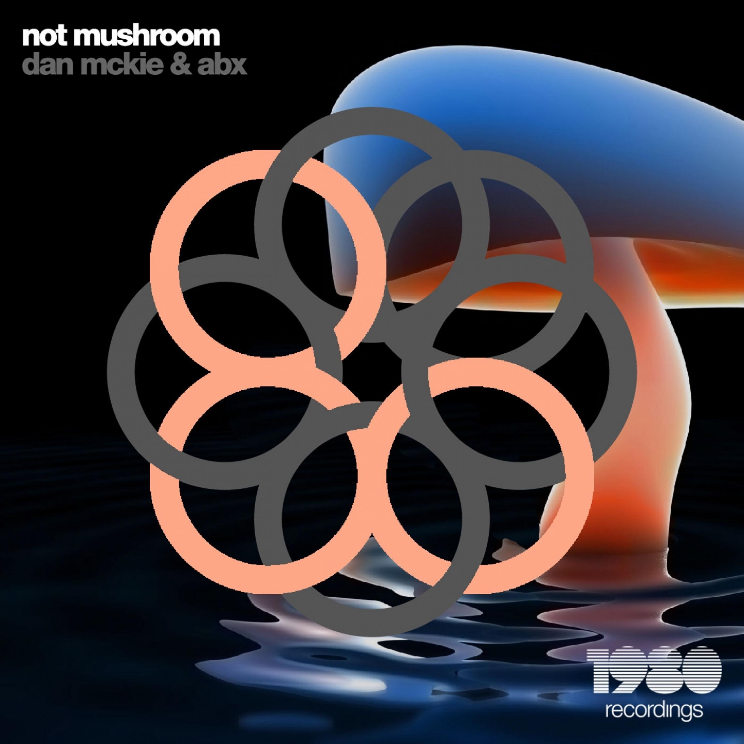 Релиз Not Mushroom