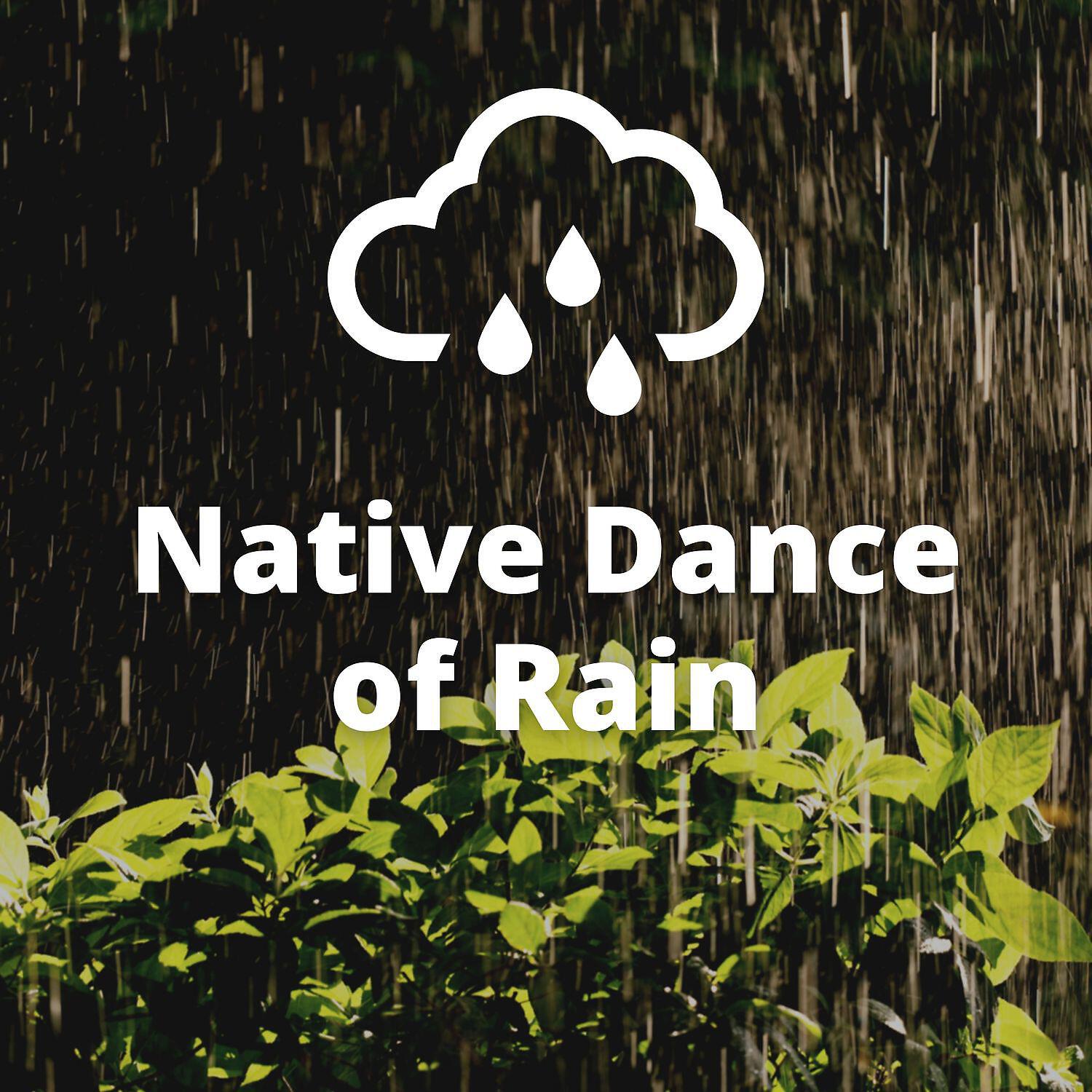 Постер альбома Native Dance of Rain