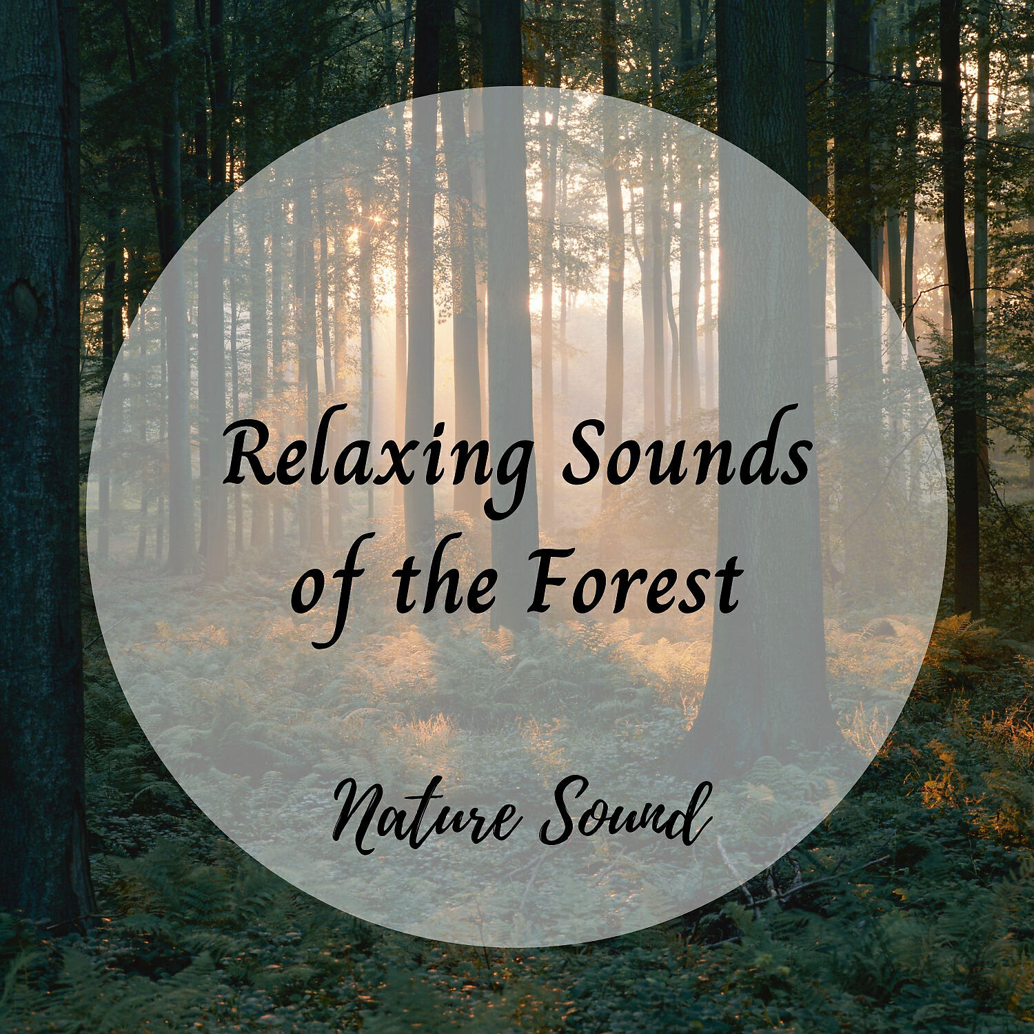 Weather and Nature Recordings & Music For Stress Relief & Native American Nature - Midnight Crickets